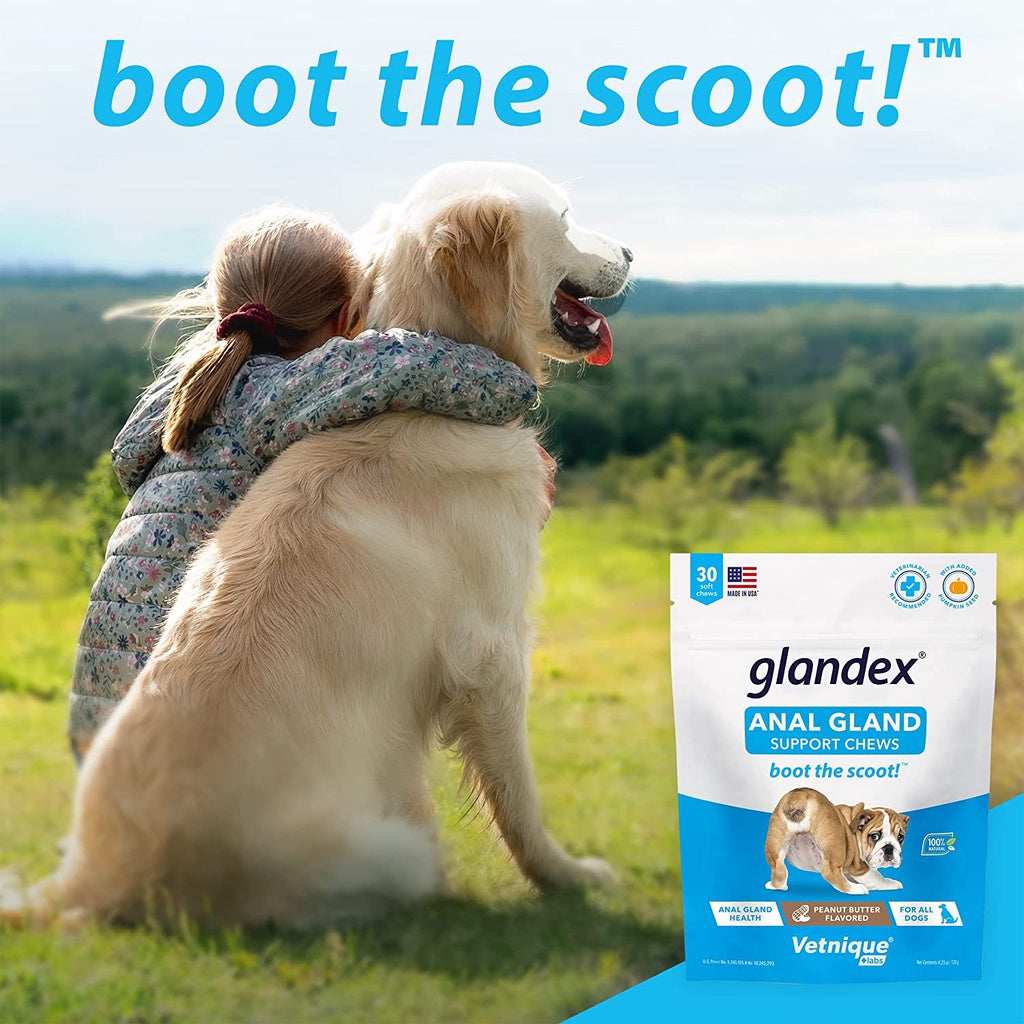 GLANDEX Vetnique An'al Gland Digestive Enzymes Peanut Butter for All Dogs Boot The Scoot 30 Chews