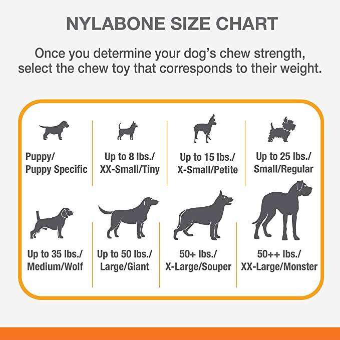 Nylabone Flex Moderate Chew Dog Toy Chicken NCF202P - 0.32 oz
