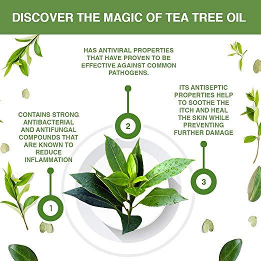 Keeva Organics Acne Treatment Cream With Secret Tea Tree Oil Formula 2 oz