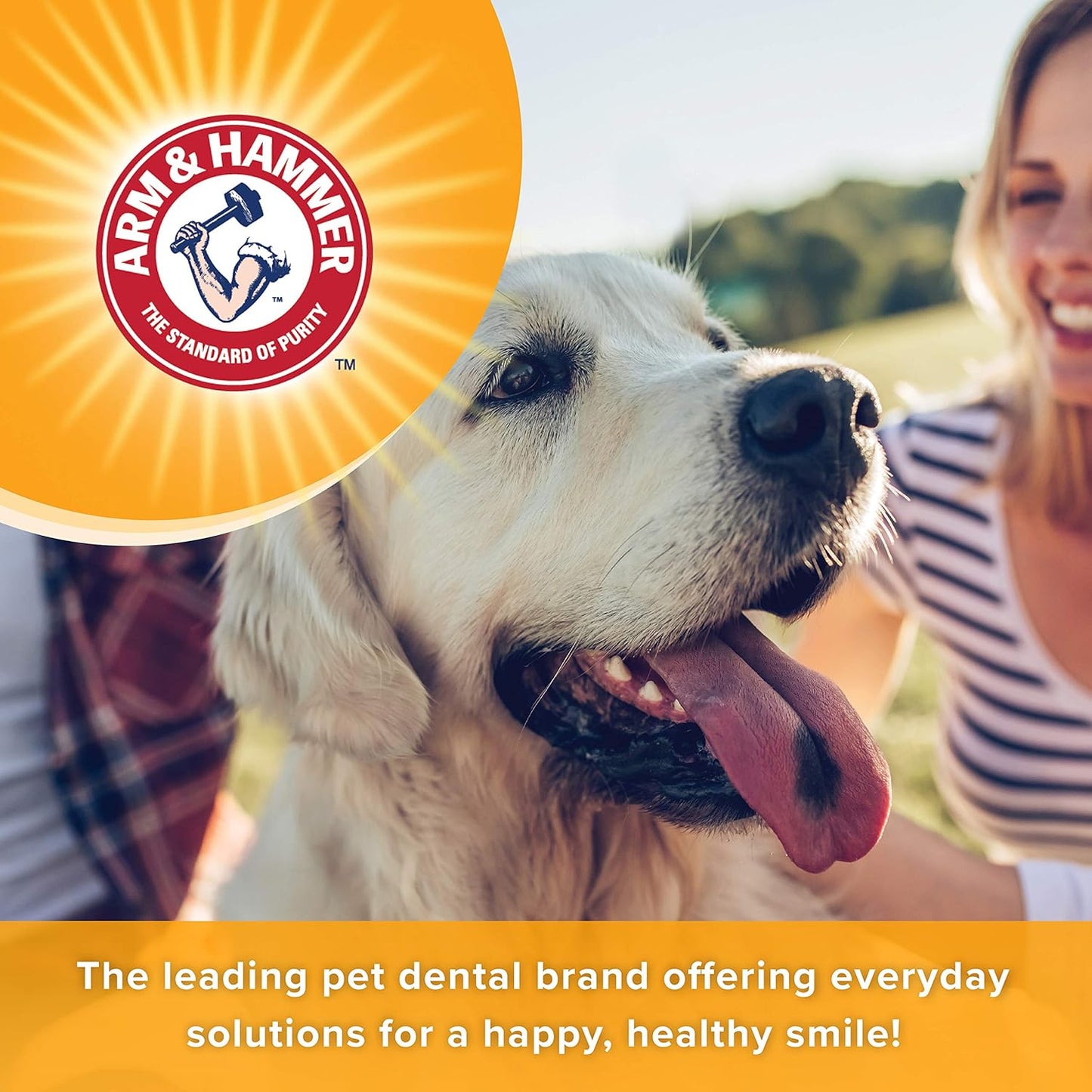 Arm & Hammer Tartar Control Enzymatic Toothpaste For Dogs, Beef Flavor, Fresh Mint Scent, 67.5 g / 2.5 oz
