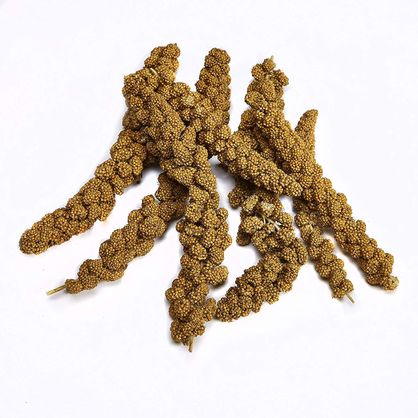 Kaytee Spray Millet For All Pet Birds 7 oz (198 g)