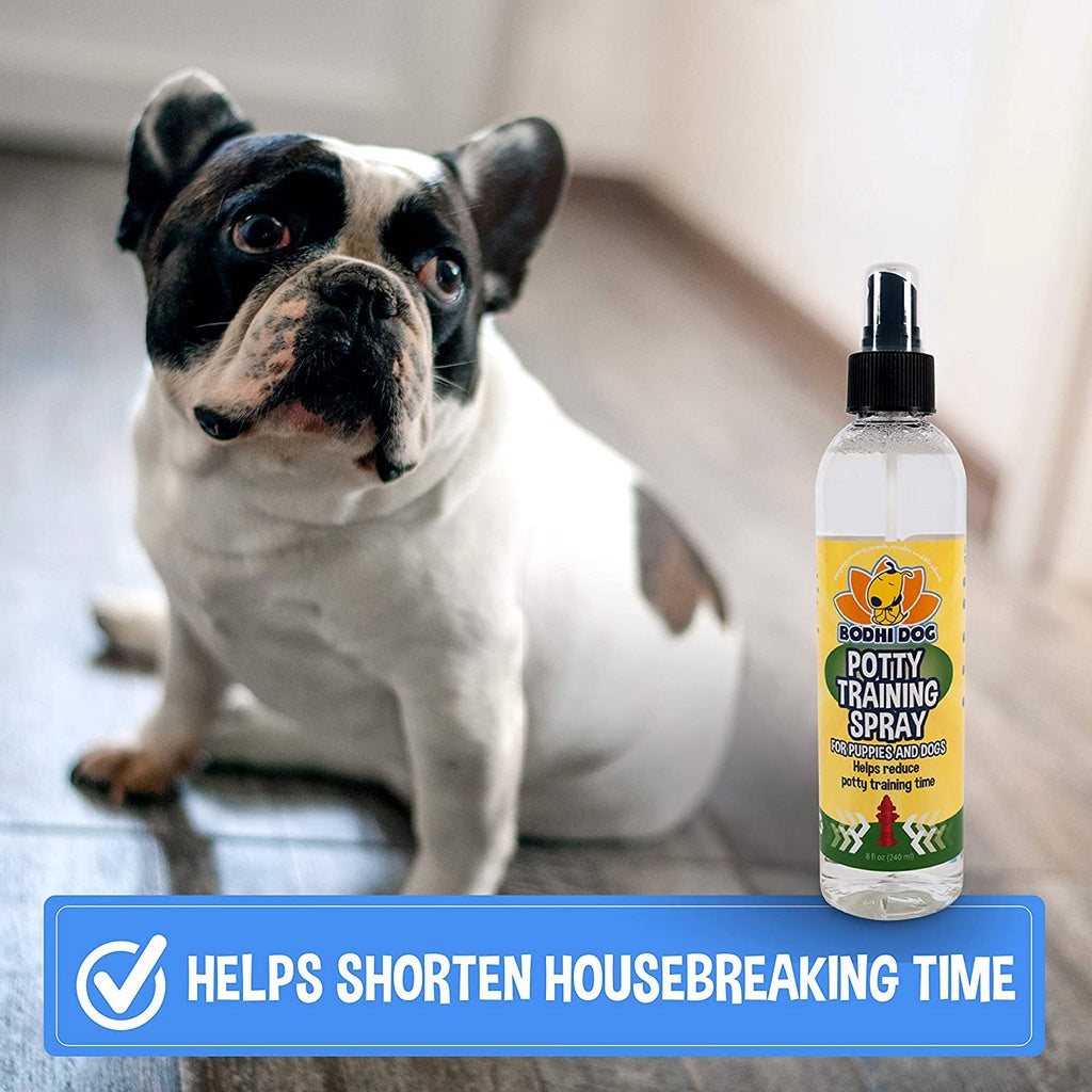 Bodhi Dog Potty Training Spray for Puppies and Dogs, 8 fl.oz / 237 ml