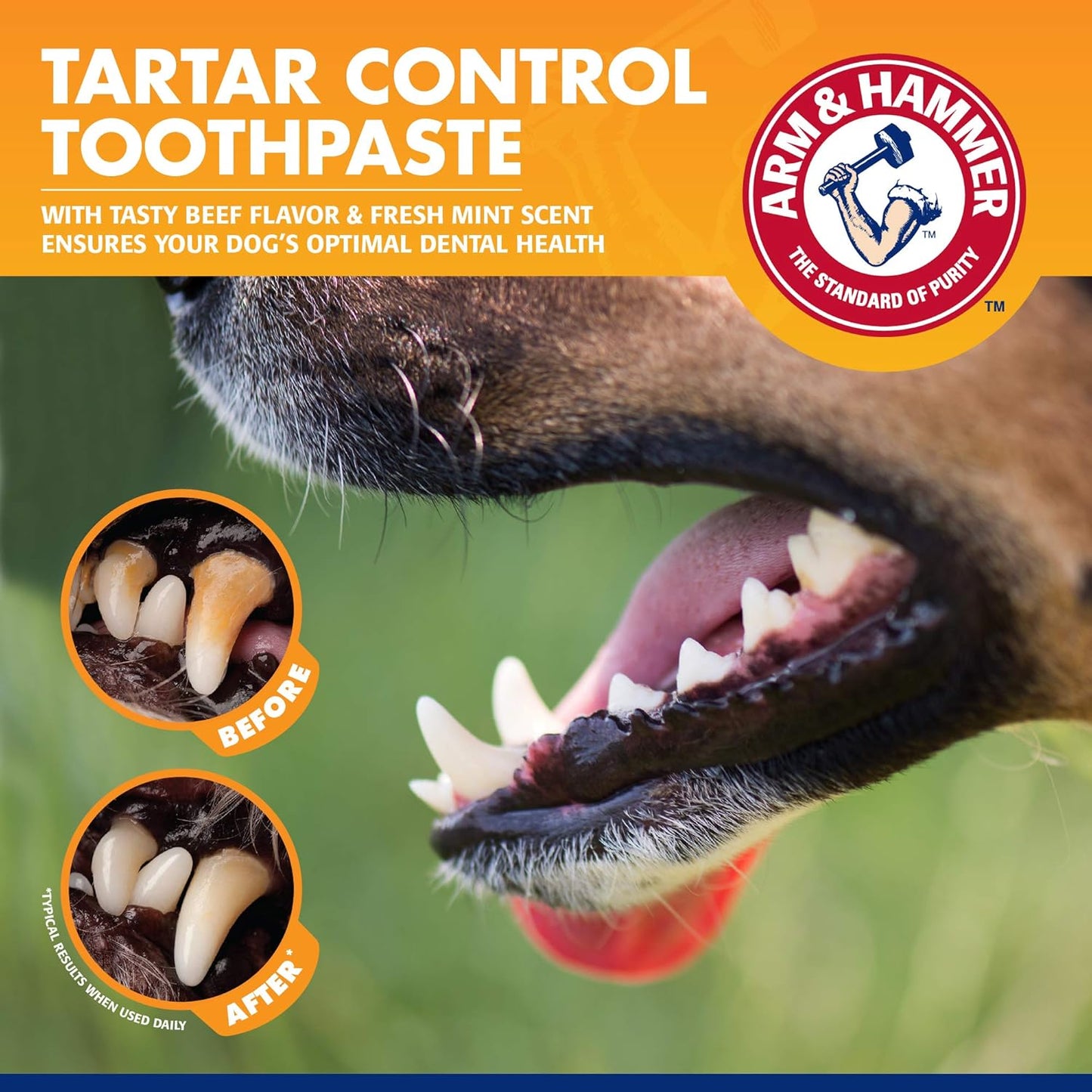 Arm & Hammer Tartar Control Enzymatic Toothpaste For Dogs, Beef Flavor, Fresh Mint Scent, 67.5 g / 2.5 oz