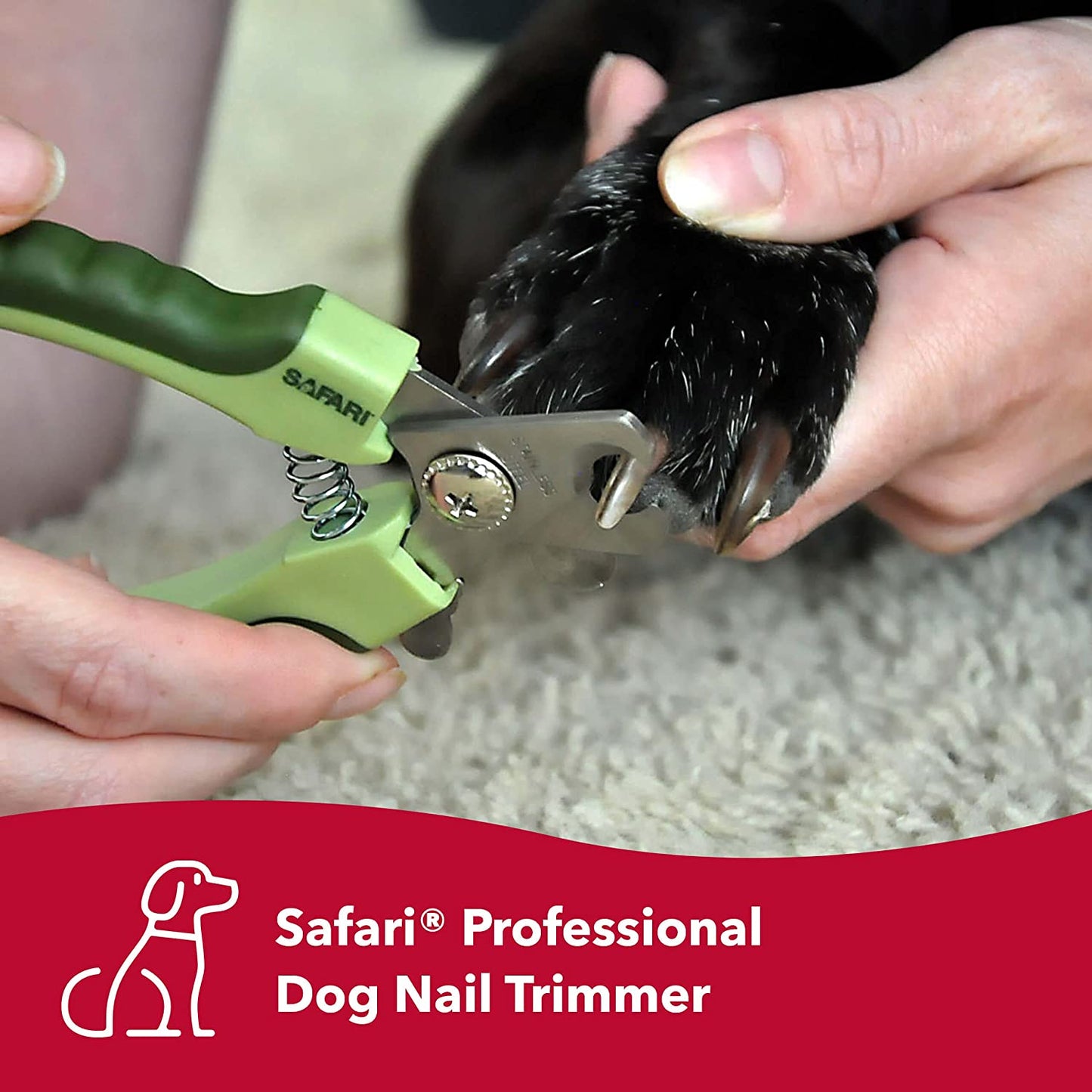 Safari by Coastal Stainless Steel Nail Trimmer for Small Dogs (W6106)