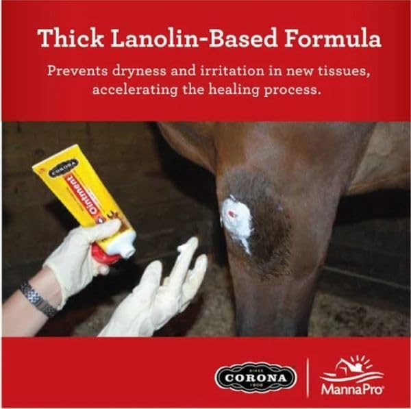 Corona Multi-Purpose Ointment For Minor Cuts, Sores, Burns, Chapping, Dry Skin 7 oz / 198g