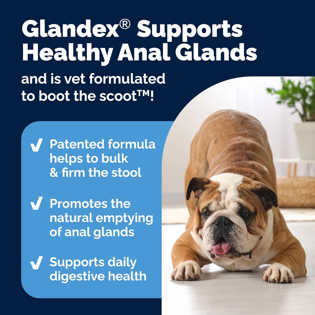 GLANDEX Vetnique Anal Gland Treats Digestive Enzymes Pork Liver for All Dogs Boot The Scoot 30 Chews