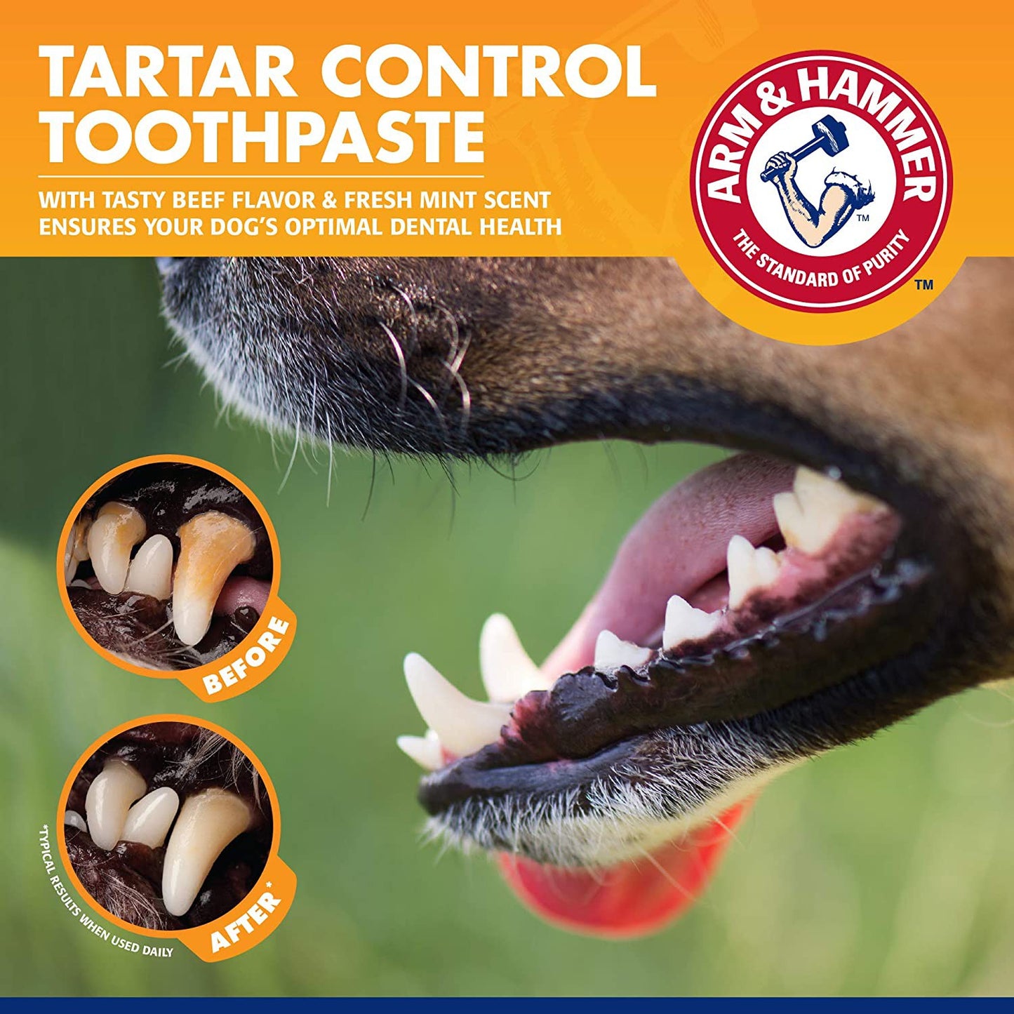 Arm & Hammer for Pets Dog Dental Care Fresh Breath Kit, Tartar Control 2.5 oz