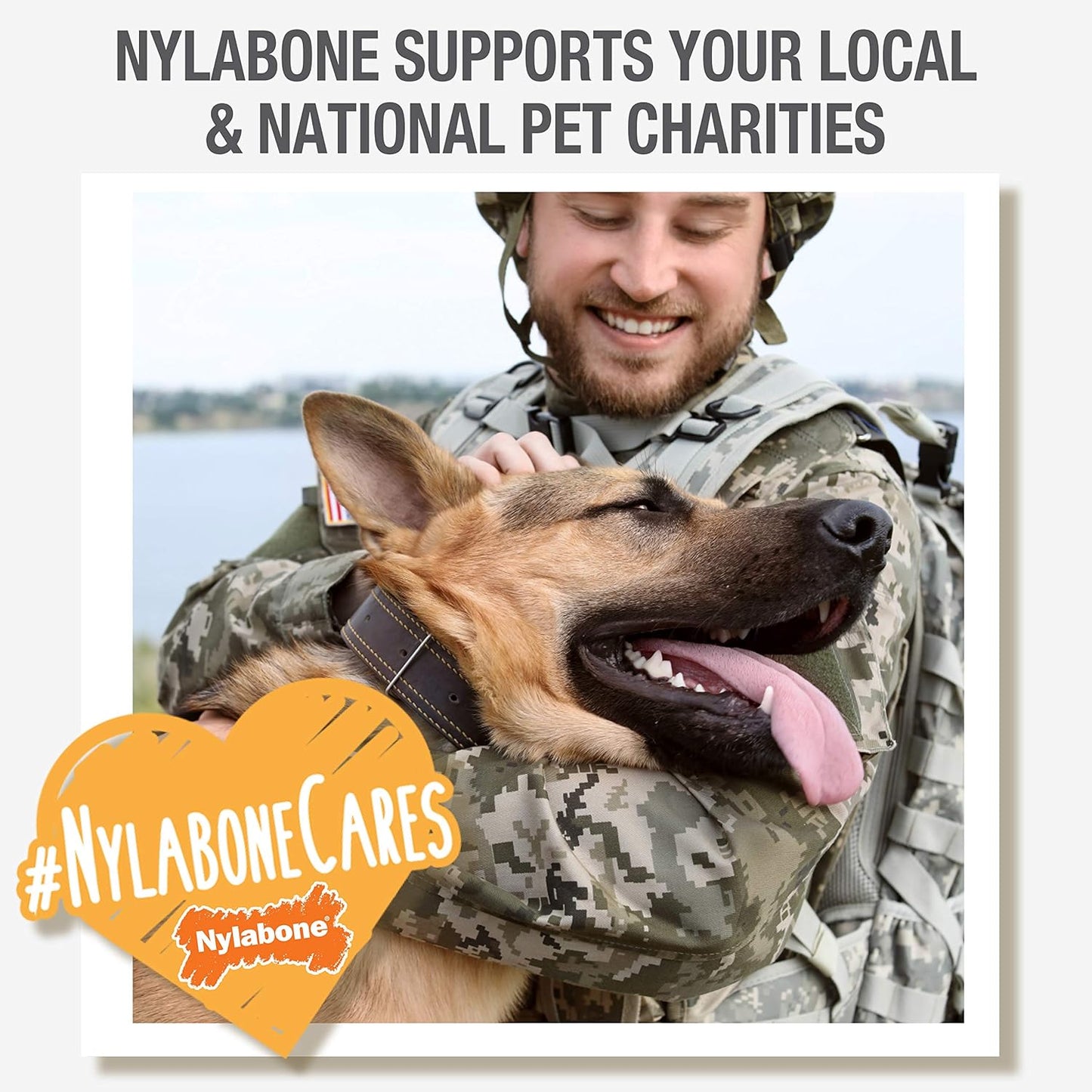 Nylabone Bone Chew Toy for Dogs, Bacon Cheeseburger & Apple Pie Flavor, Up To 25 Lbs ( Napoo2vpp )- 2 Pack