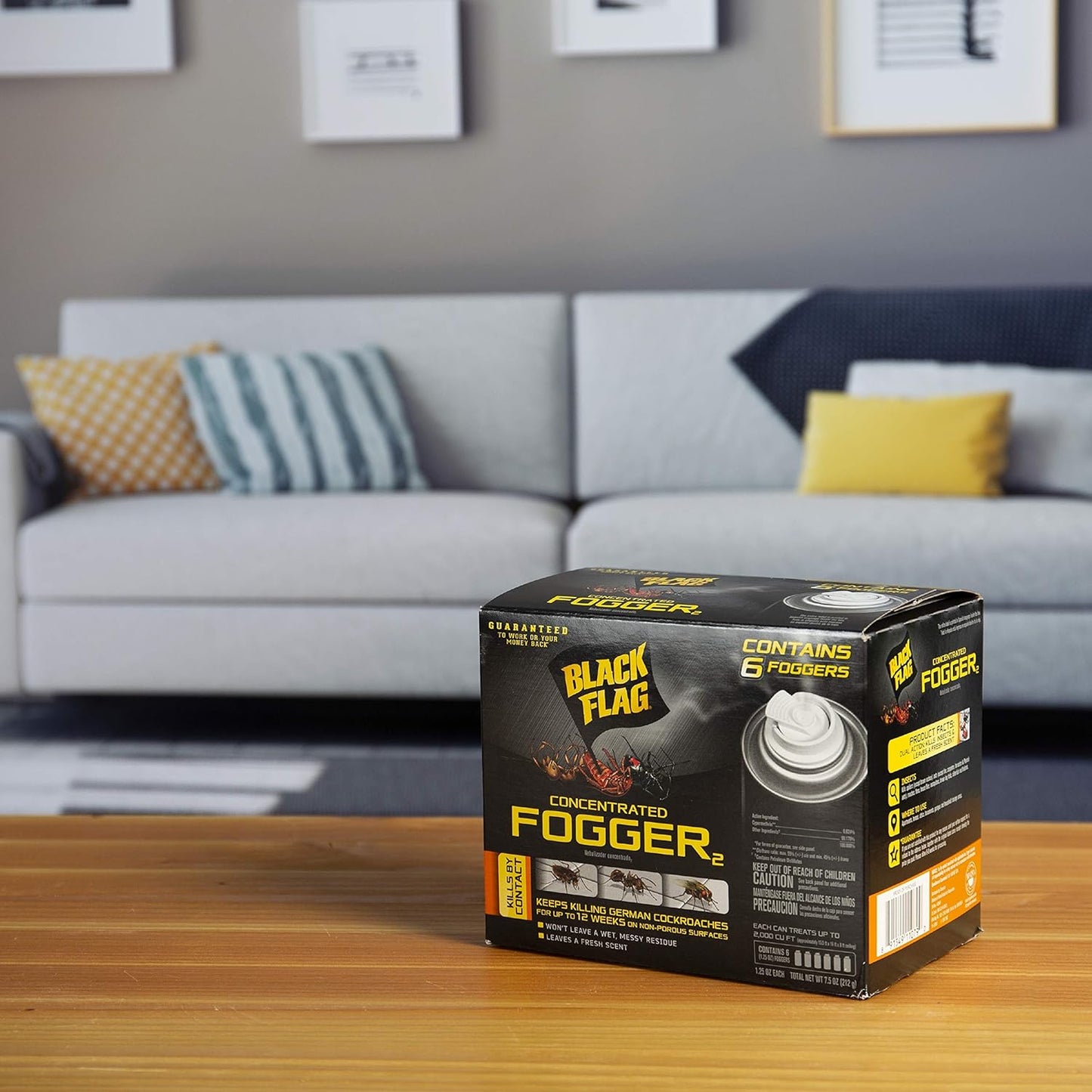 Black Flag Concentrated Indoor Fogger Clear Kills Insects 6 Counts