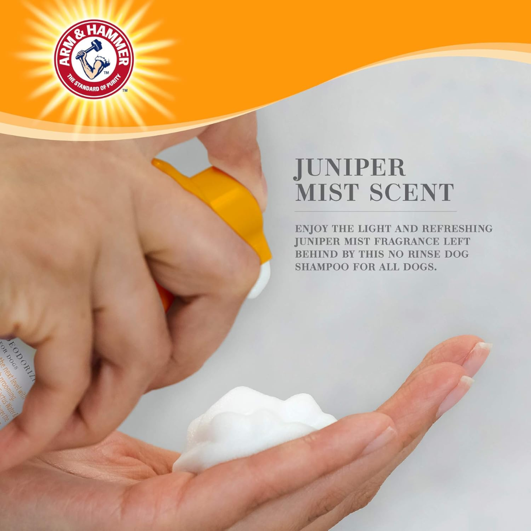 Arm & Hammer Ultra Fresh No-Rinse Deodorizing Foam for Dogs Juniper Mist, 8 oz / 237 ml (NO CAP)