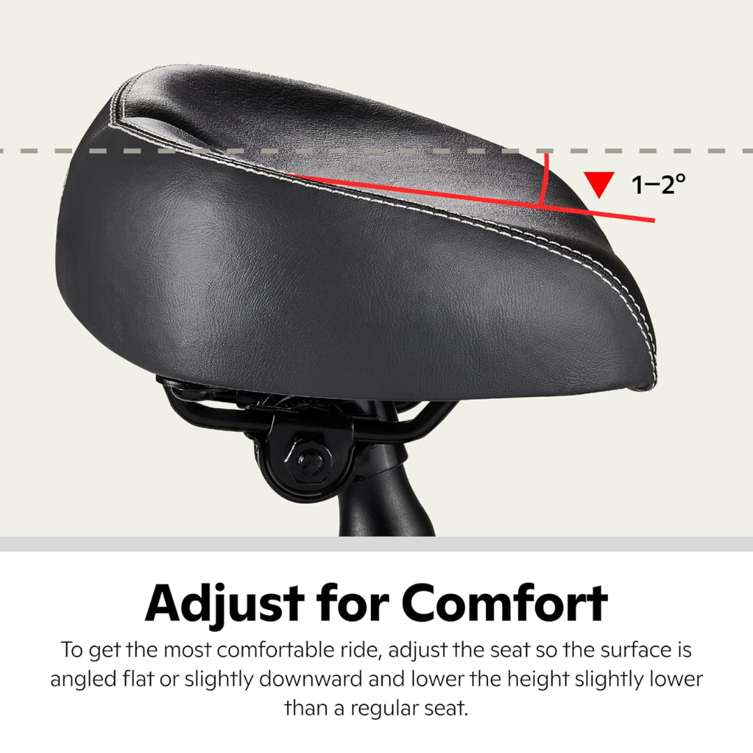 Schwinn No-Pressure Cruise Bike Seat
