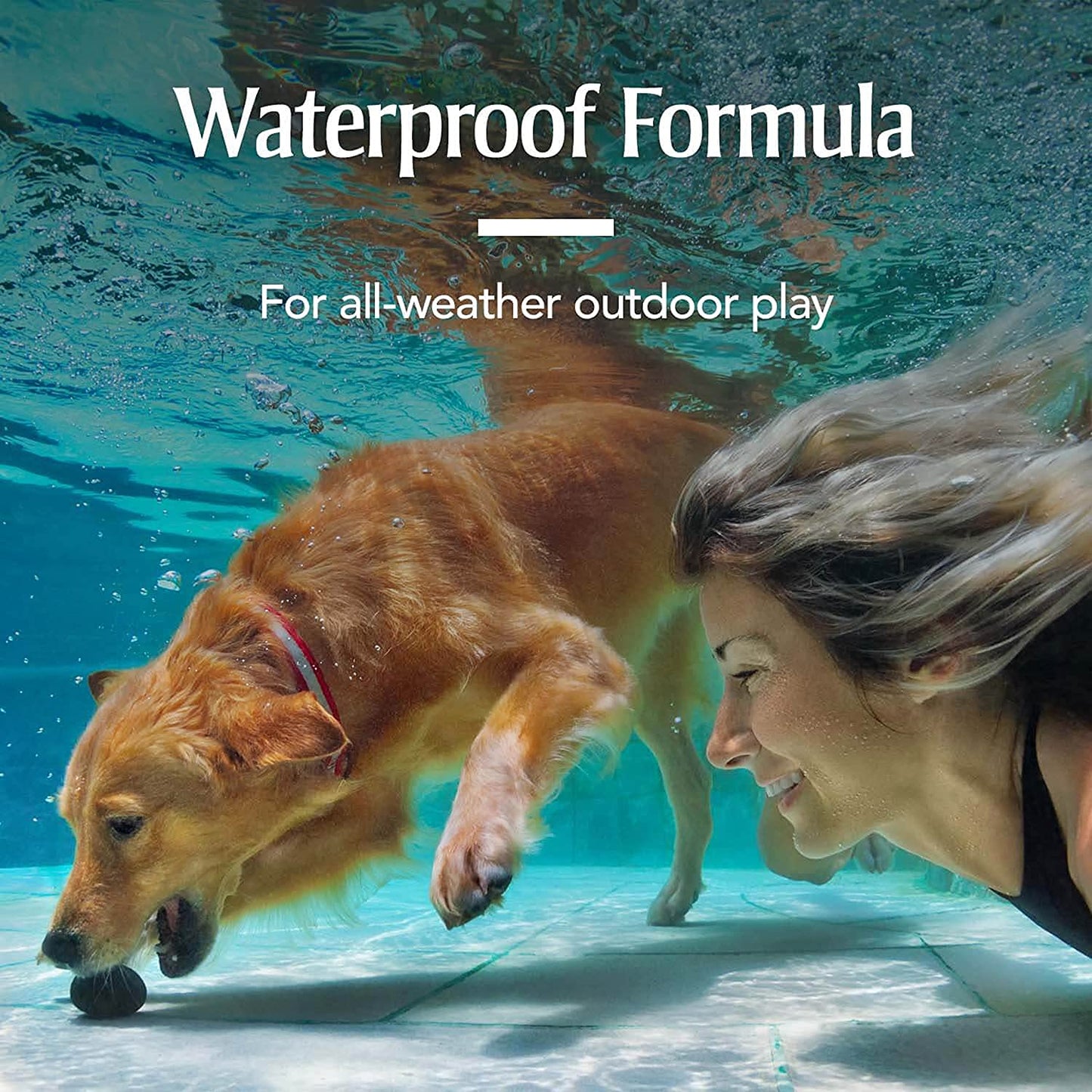PetArmor | Plus for Medium Dogs with 23 to 44 lbs Against Fleas and Ticks