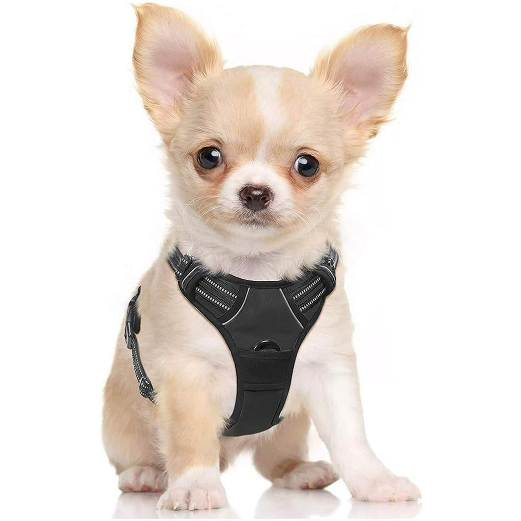 rabbitgoo Dog Harness with 2 Leash Clips, Adjustable Soft Padded Vest, Easy Control Handle, Black, S