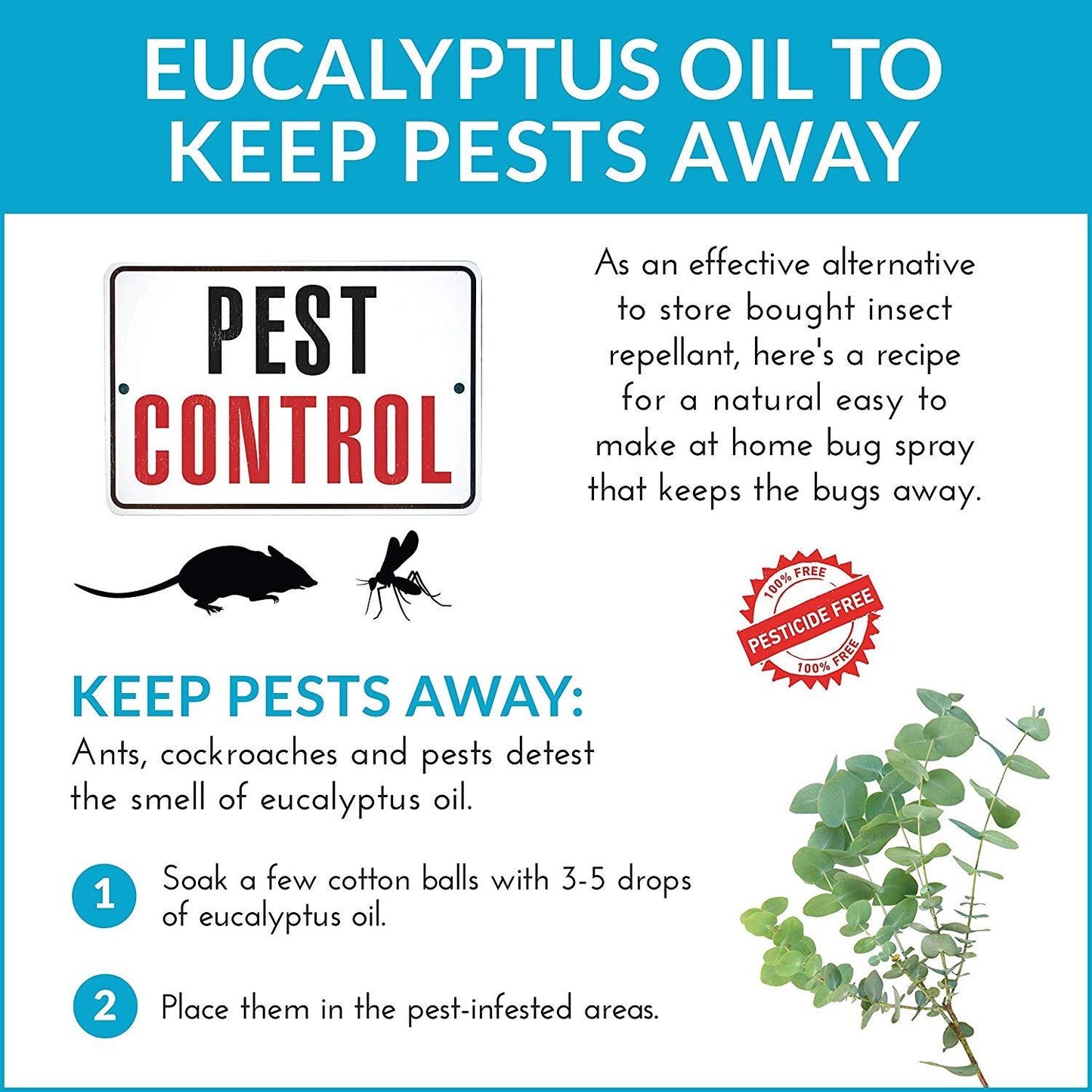 ArtNaturals Eucalyptus Essential Oil with Dropper 4 fl.oz