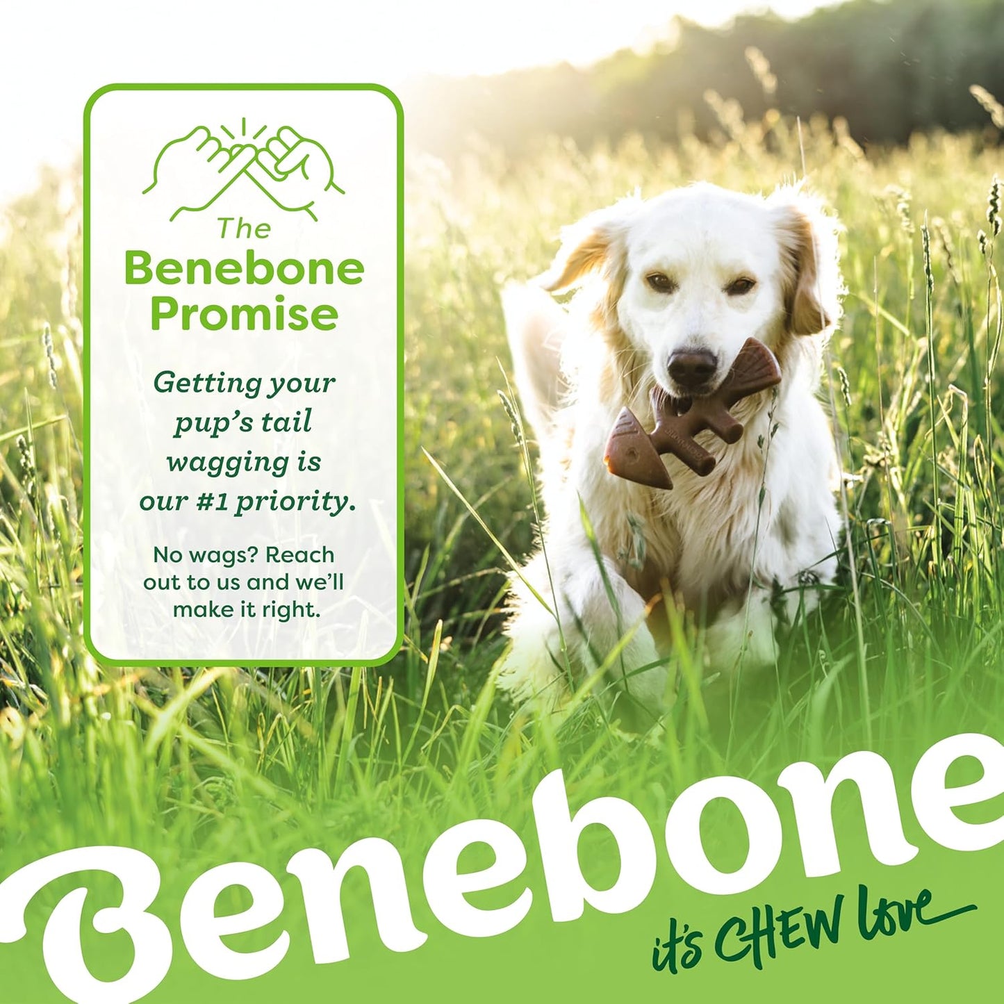 Benebone Dog Chew Toys 60lbs and Under Medium, 4 Count