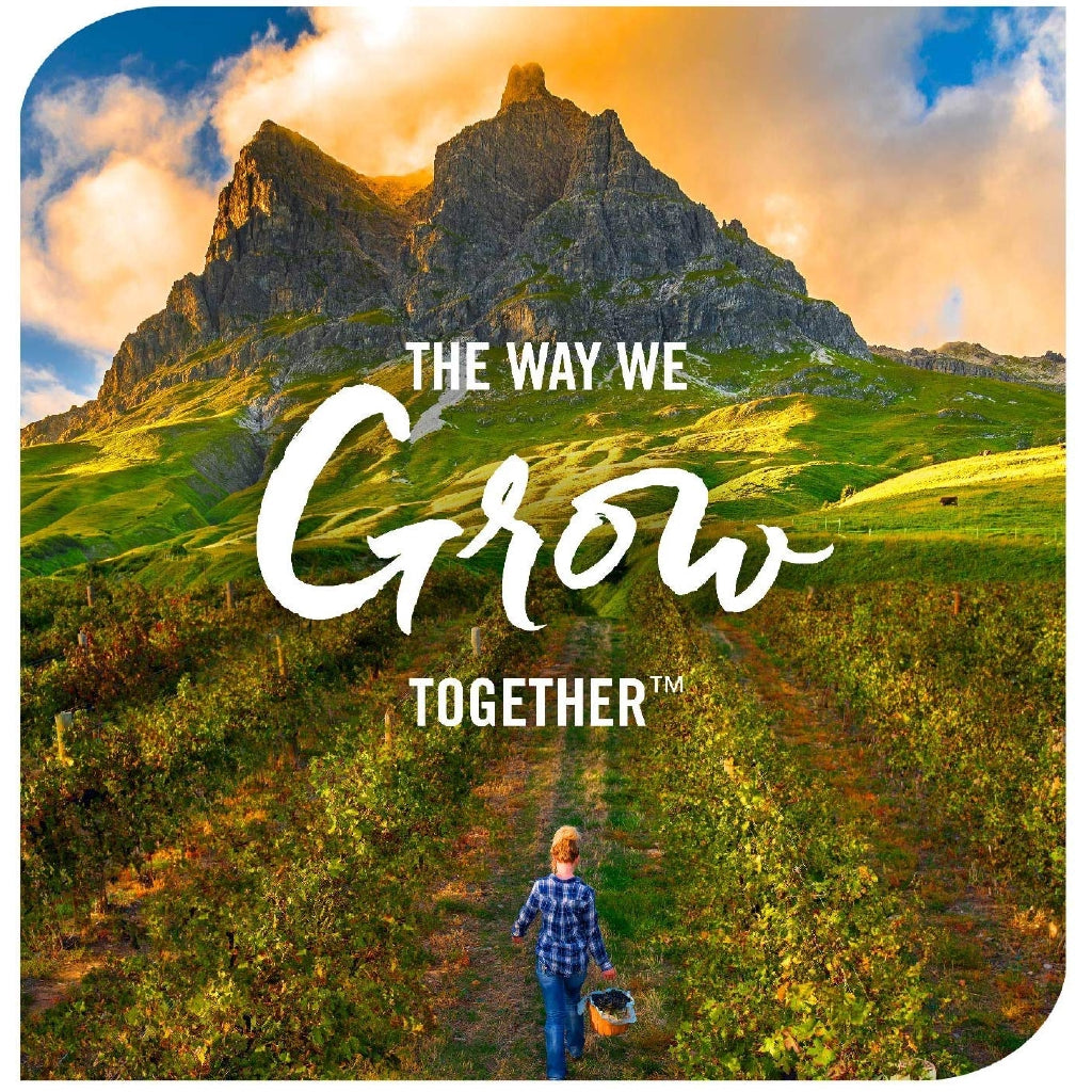 Nature's Way Sambucus Standardized Elderberry for Kids, Original Syrup, 4 fl oz