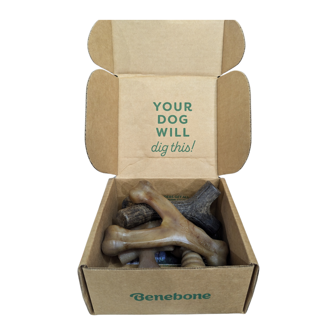 Benebone Dog Chew Toys 60lbs and Under Medium, 4 Count