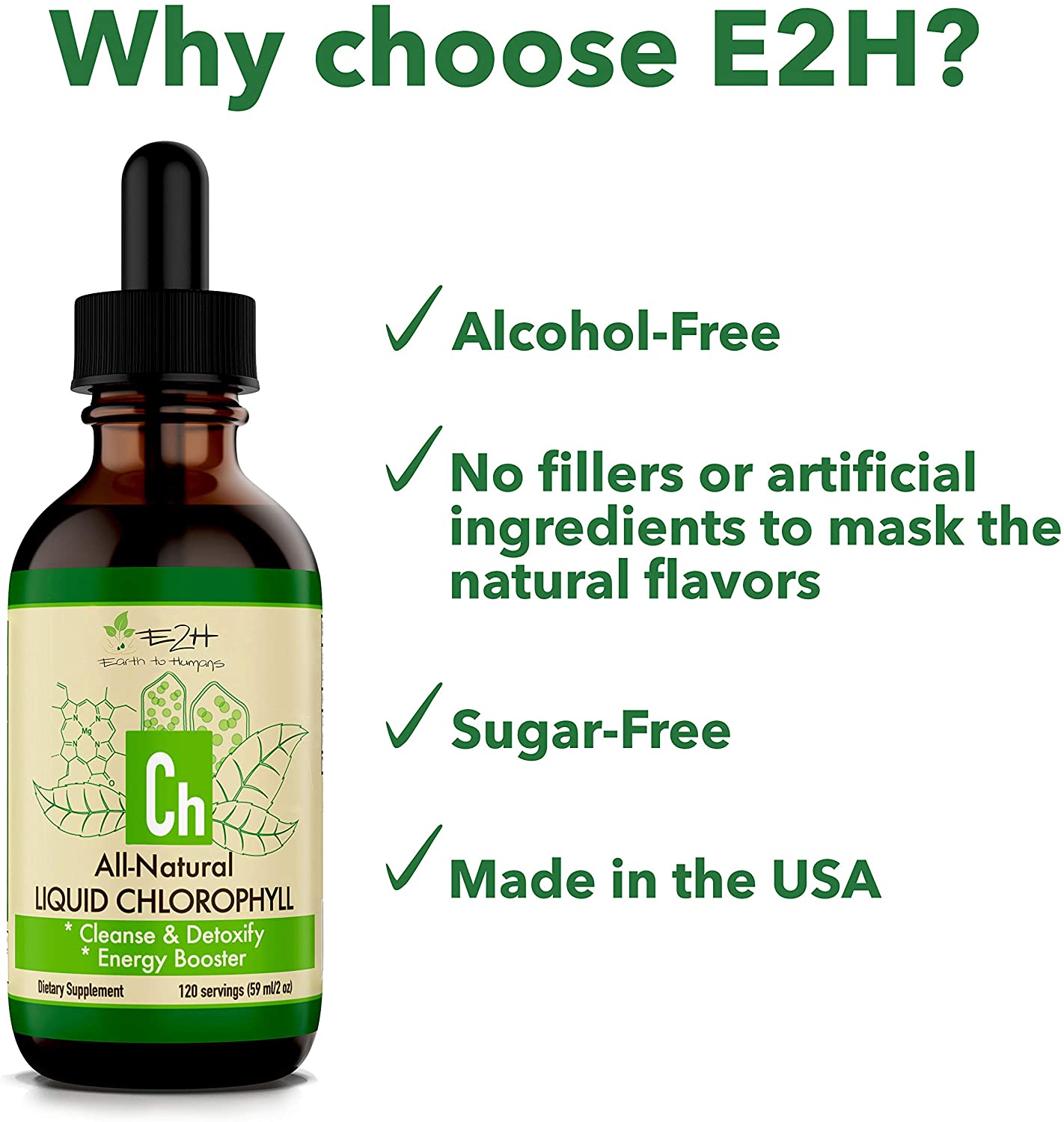 E2H EARTH TO HUMANS 100% All Natural Liquid Chlorophyll Drops, Energy, Digestion & Immune Booster, 120 Servings 59ml / 2 oz.