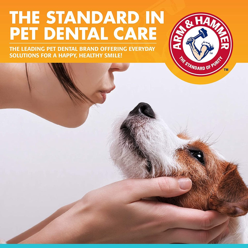 Arm & Hammer Fresh Breath Enzymatic Toothpaste for Dogs, Vanilla Ginger Flavor, 2.5 oz. / 67.5 g