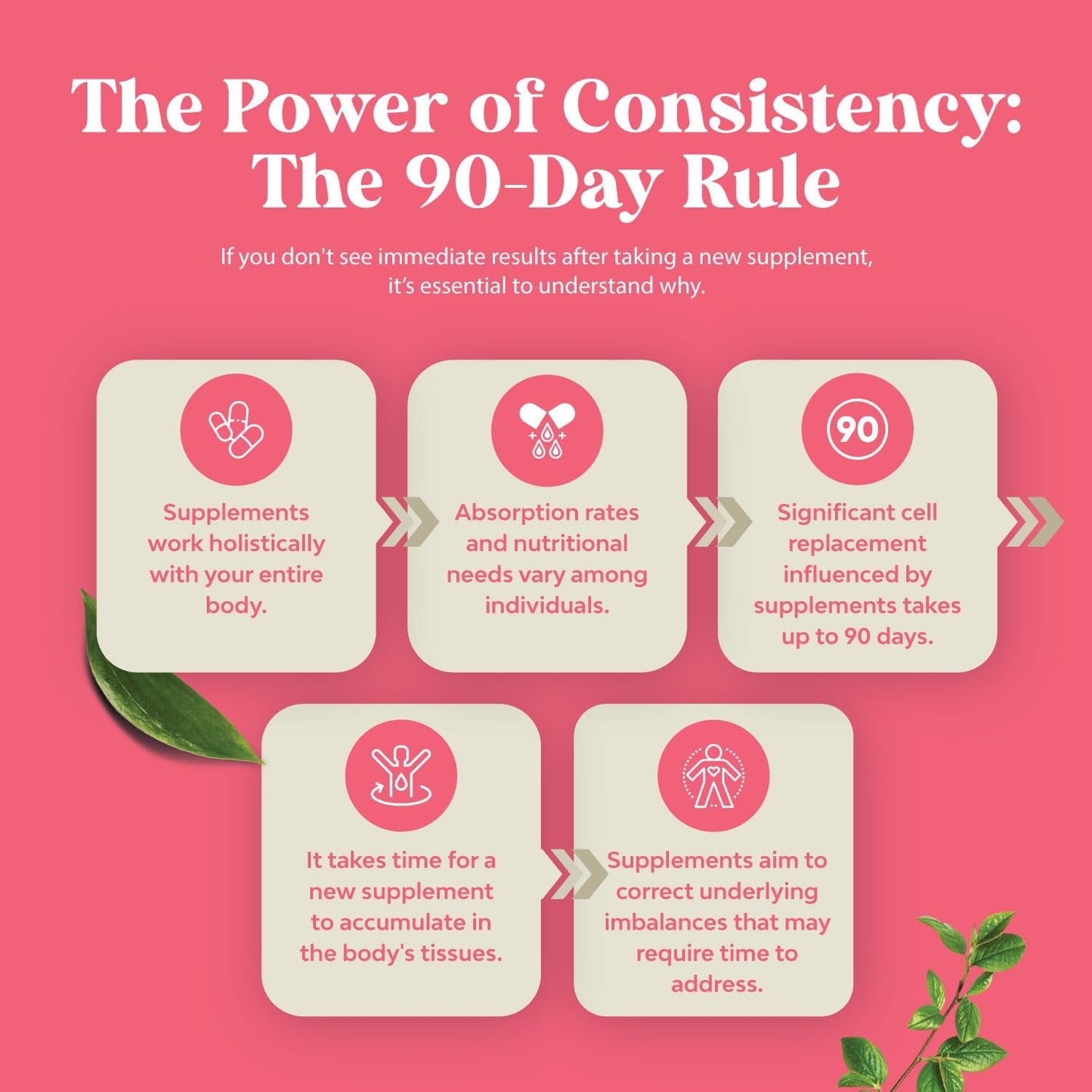 Nature's Craft Menopause Support Women's Wellness Supplement 60 Capsules