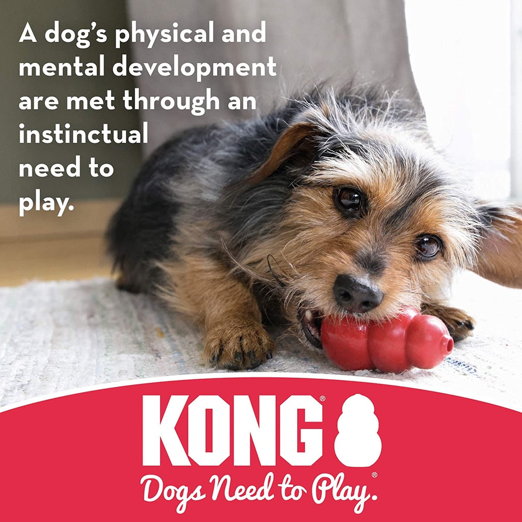 KONG Puppy Binkie, Soft Teething Rubber, Treat Dispensing Dog Toy, Pink Medium