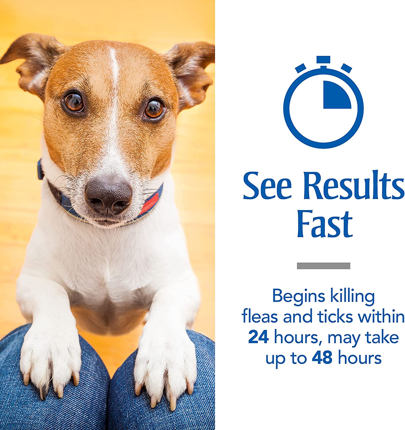 PetArmor | Plus for Medium Dogs with 23 to 44 lbs Against Fleas and Ticks