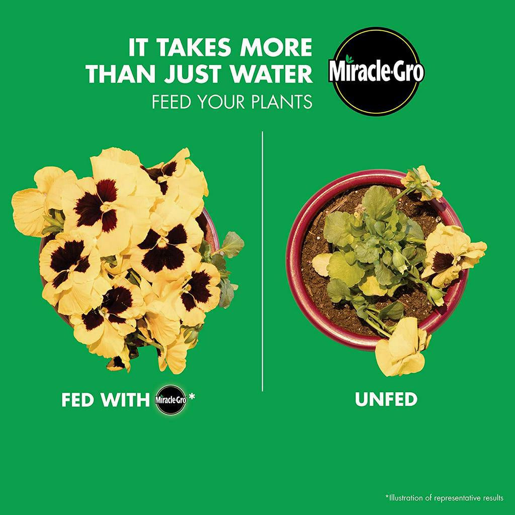 Miracle-Gro Watering Can Singles All Purpose Water Soluble Plant Food, 10.24 oz. / 290g