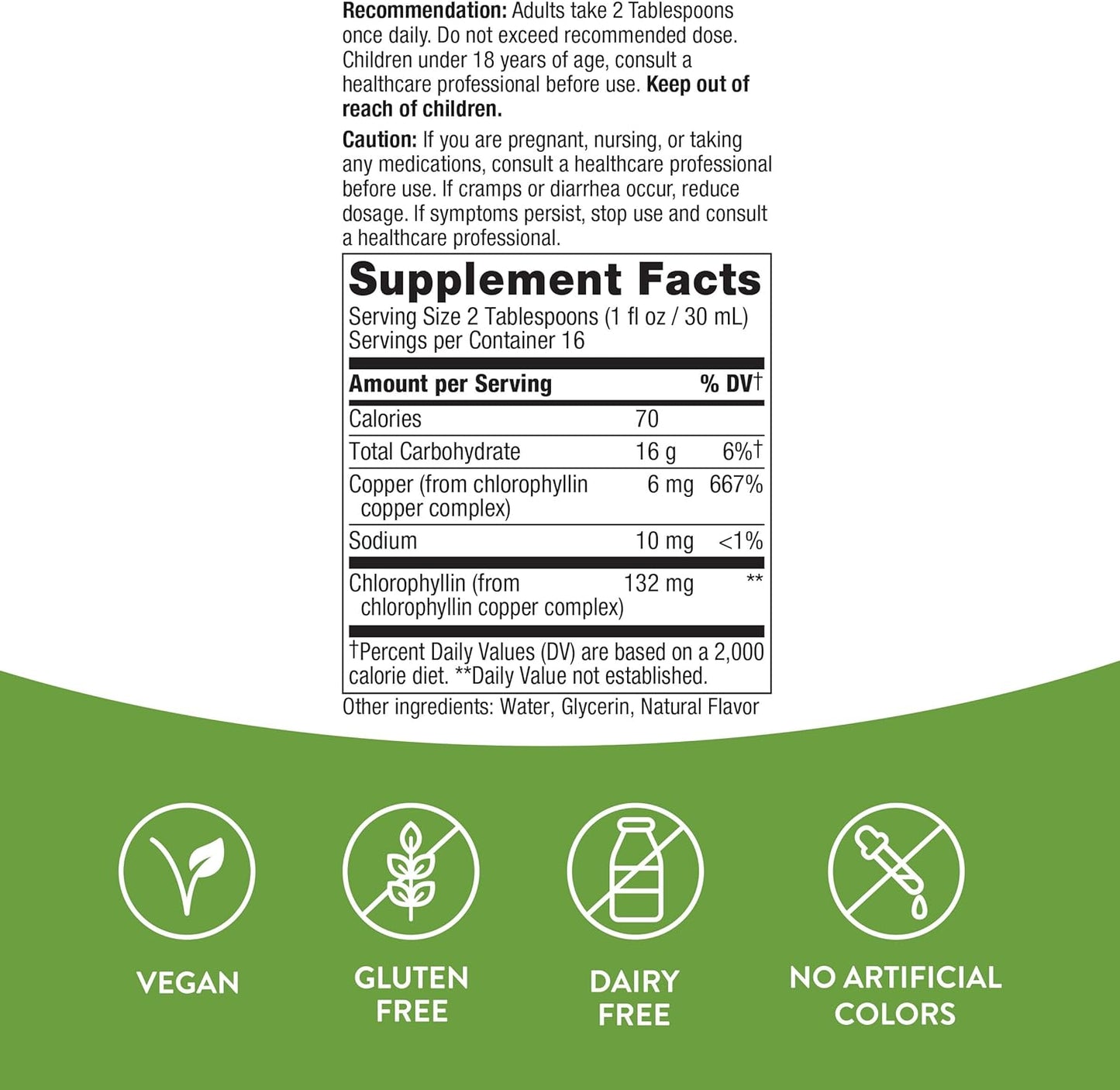 Nature's Way Chlorofresh Liquid Chlorophyll Mint Flavored 16 fl oz / 480ml
