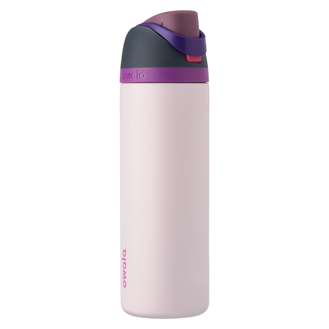 Owala FreeSip Insulated Stainless Steel Water Bottle 40oz (Dreamy Field)