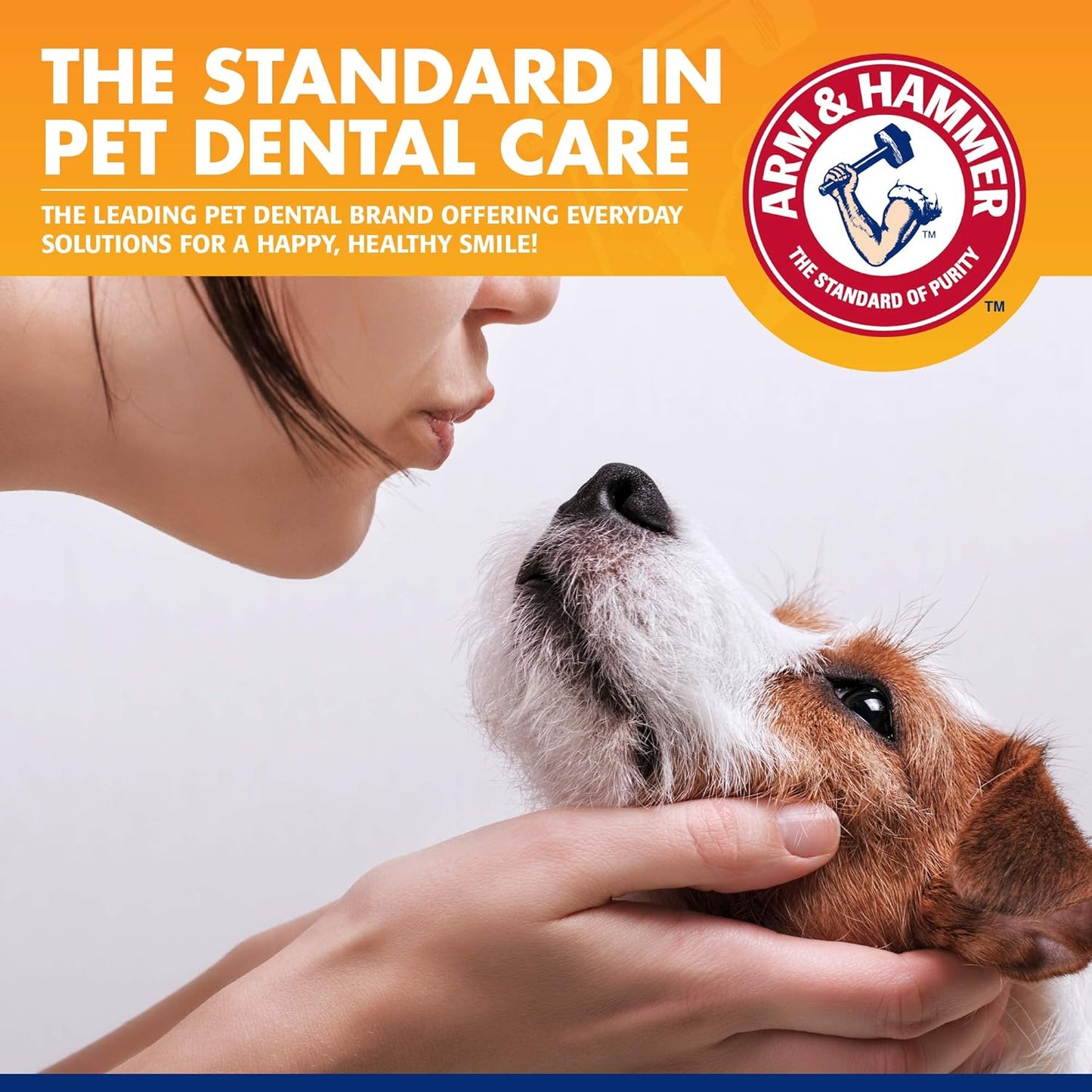 Arm & Hammer Tartar Control Enzymatic Toothpaste For Dogs, Beef Flavor, Fresh Mint Scent, 67.5 g / 2.5 oz