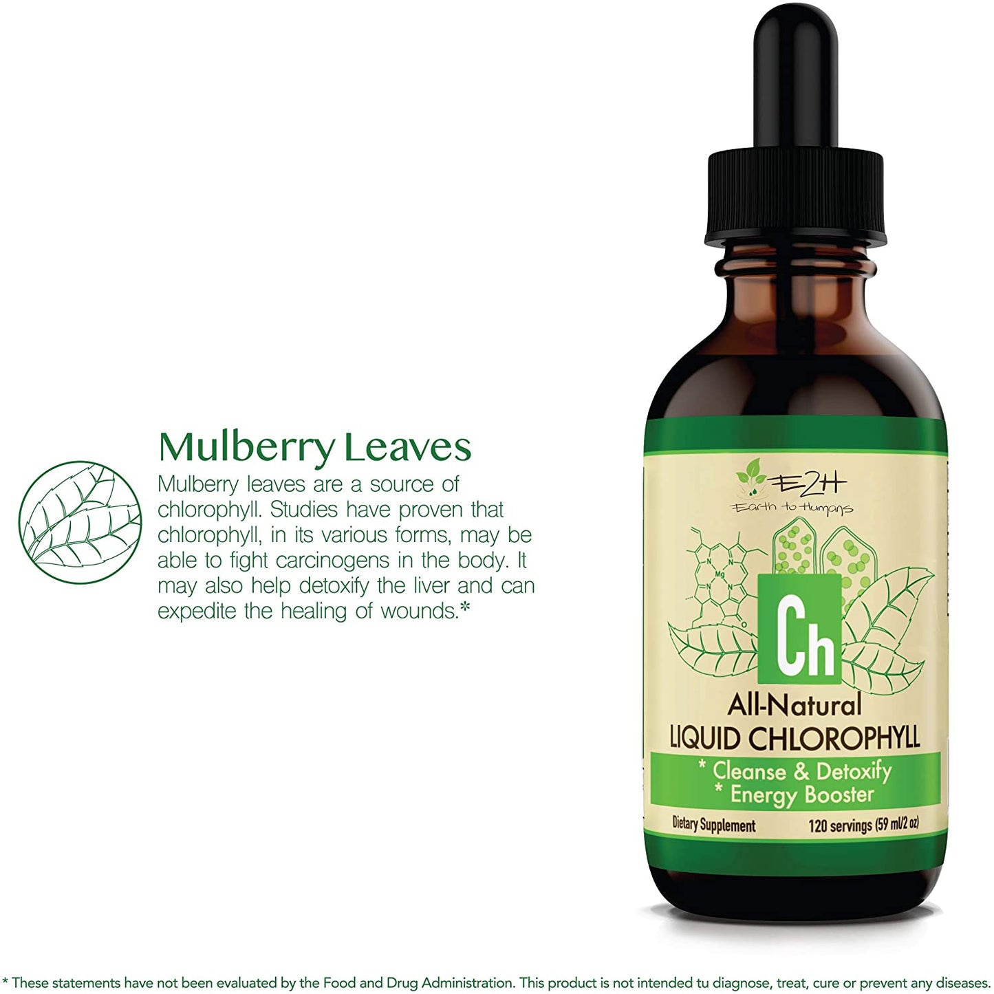 E2H EARTH TO HUMANS 100% All Natural Liquid Chlorophyll Drops, Energy, Digestion & Immune Booster, 120 Servings 59ml / 2 oz.