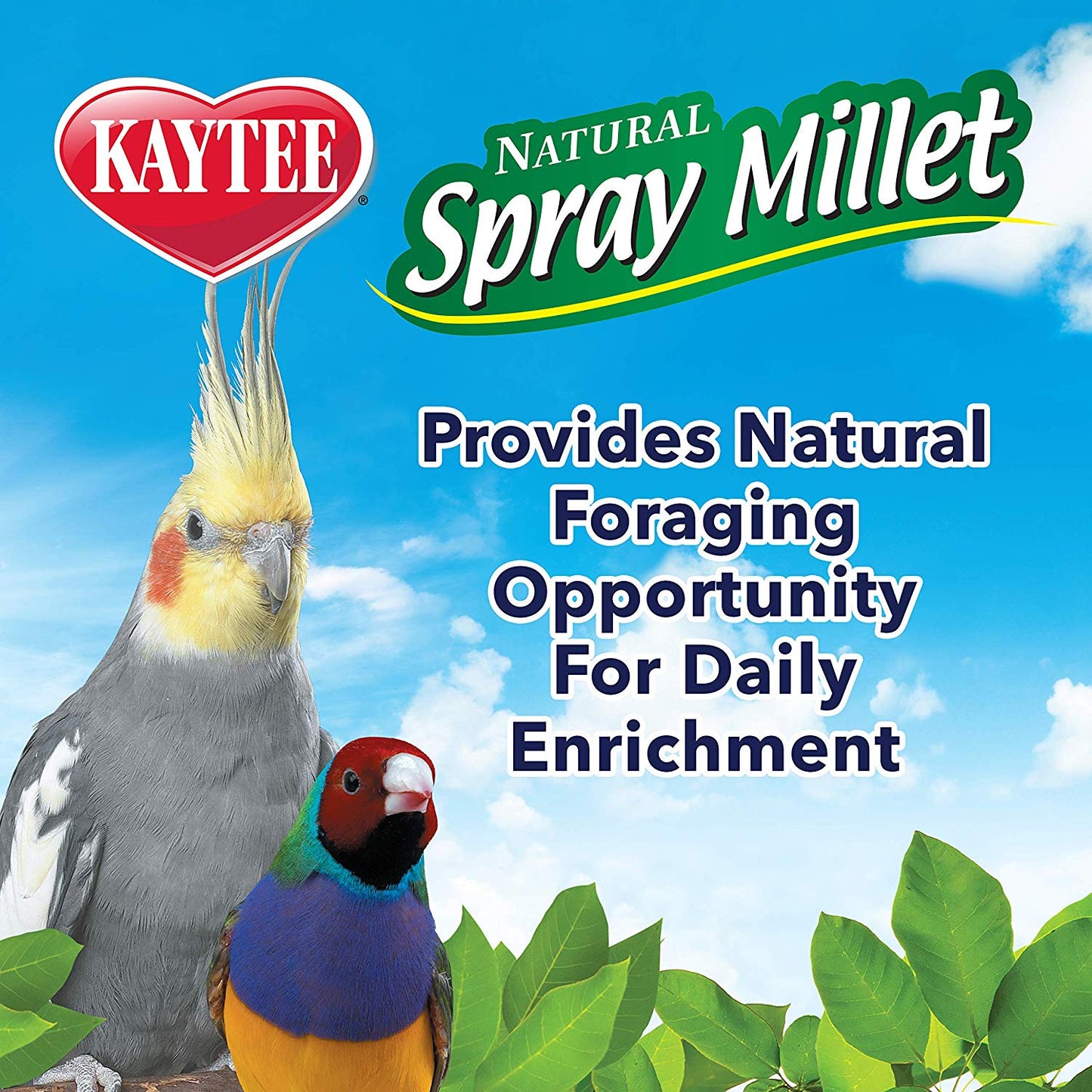 Kaytee Spray Millet For All Pet Birds 7 oz (198 g)