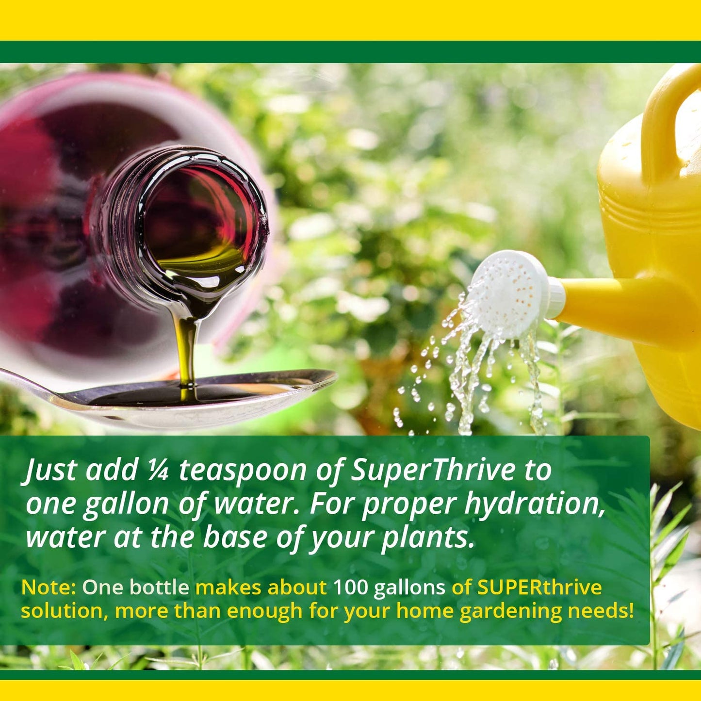 SUPERThrive The Original Vitamin Solution Liquid Concentrate with Kelp for Plants 120 mL