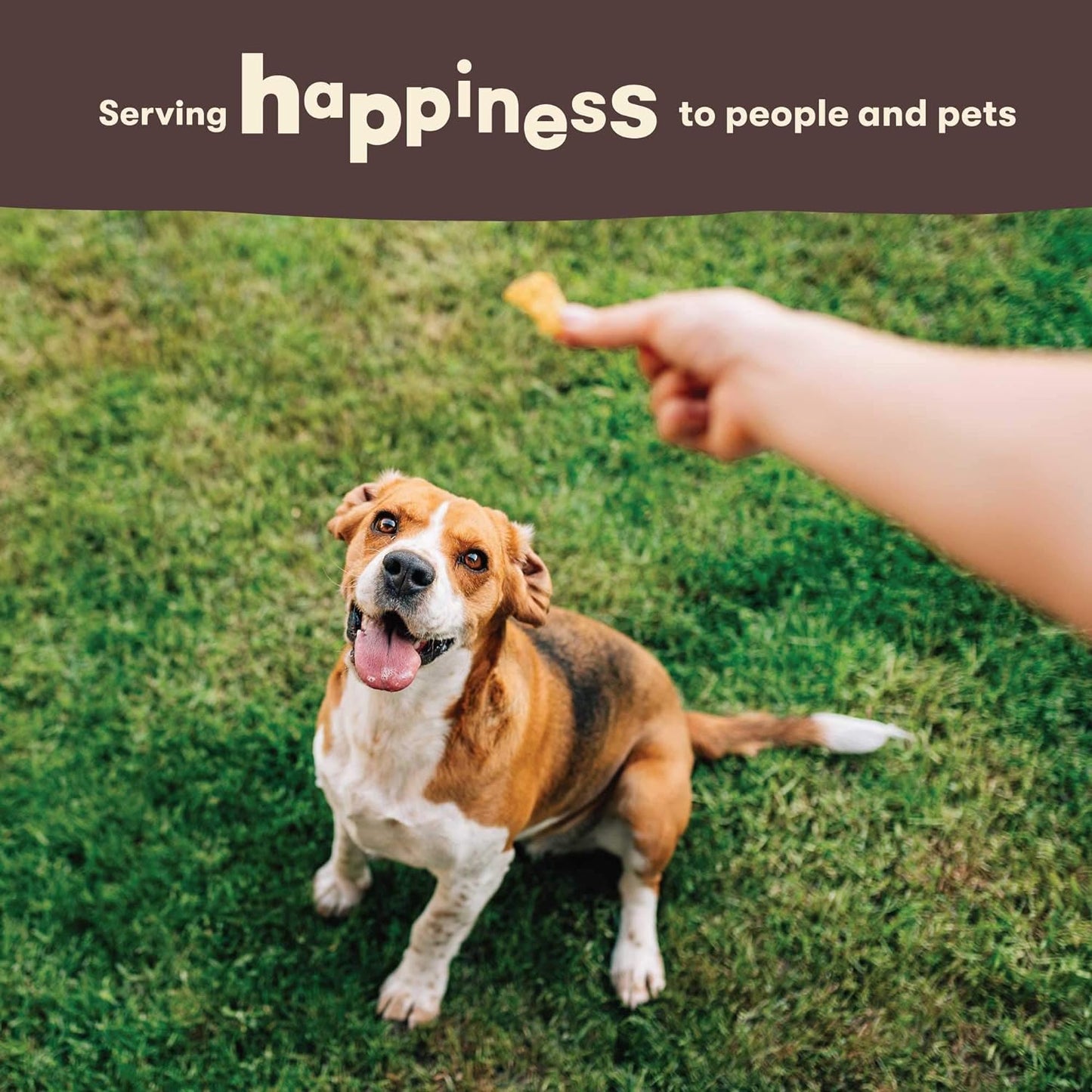 Pet N Shape Chik'n Breast 100% Happiness Tasty Treats For Dog 16 oz (454g)