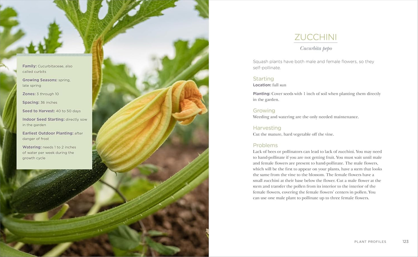 Tammy Wylie Raised-Bed Gardening for Beginners: Your Guide to Growing Sustainability and Self-Sufficiency