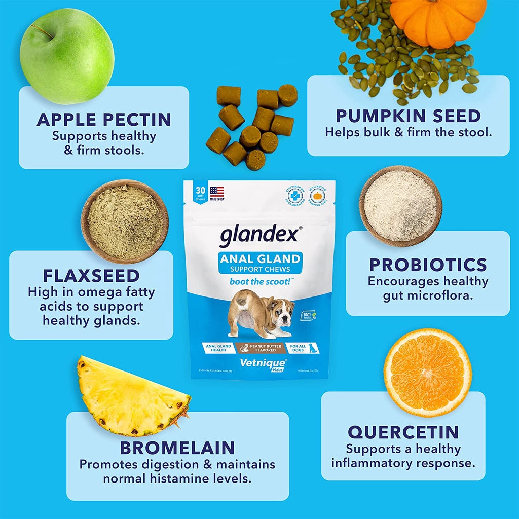 GLANDEX Vetnique An'al Gland Digestive Enzymes Peanut Butter for All Dogs Boot The Scoot 30 Chews