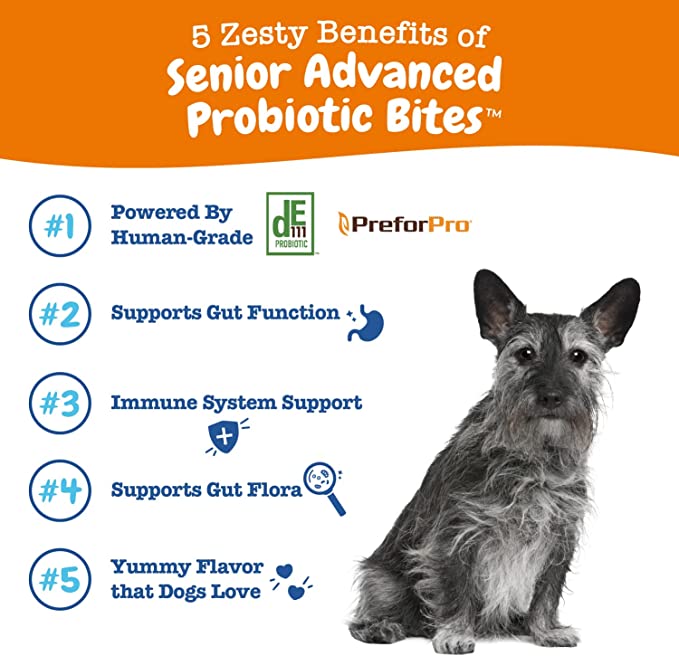 Zesty Paws Senior Advanced Probiotic Bites Gut Health for Dogs | Chicken Flavor | 90 Soft Chews - 12.7 fl oz  / 360 g