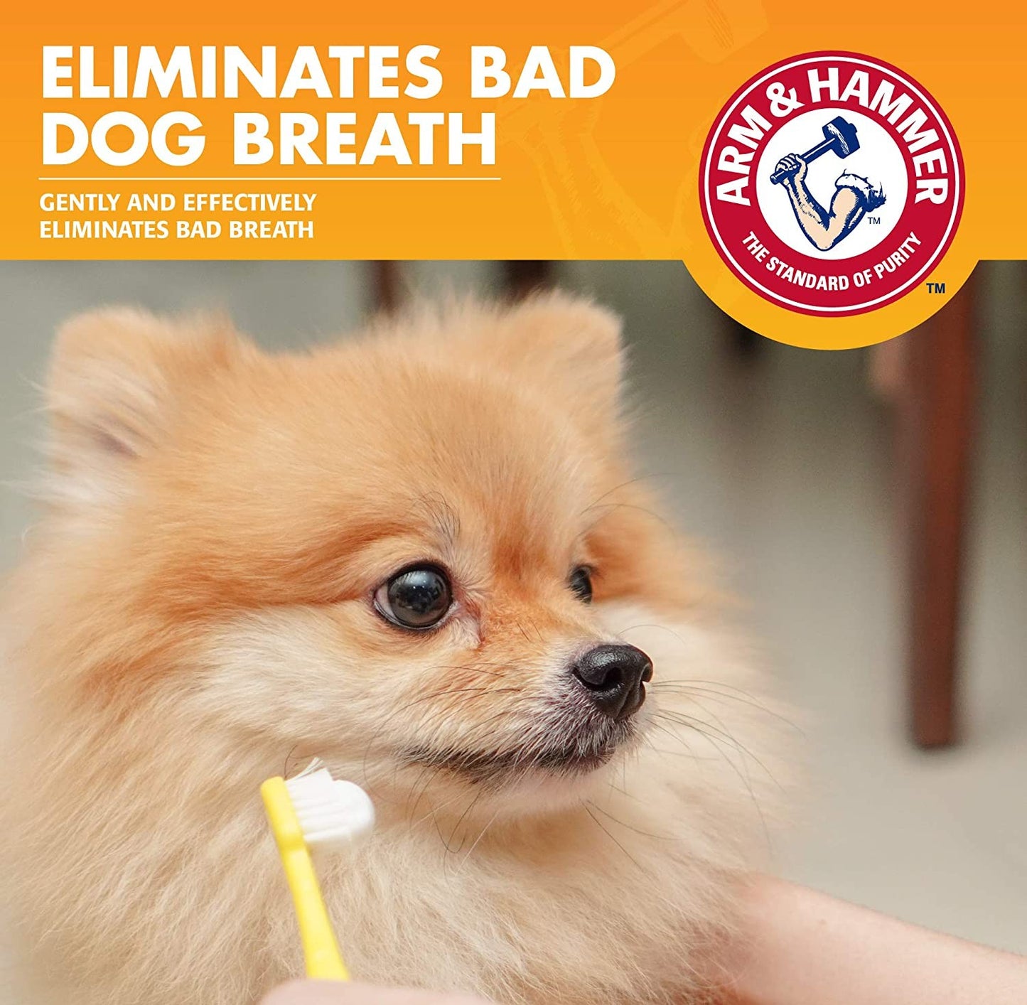 Arm & Hammer Dog Dental Care Toothpaste for Dogs, Chicken Flavor 2.5 oz Fresh Breath