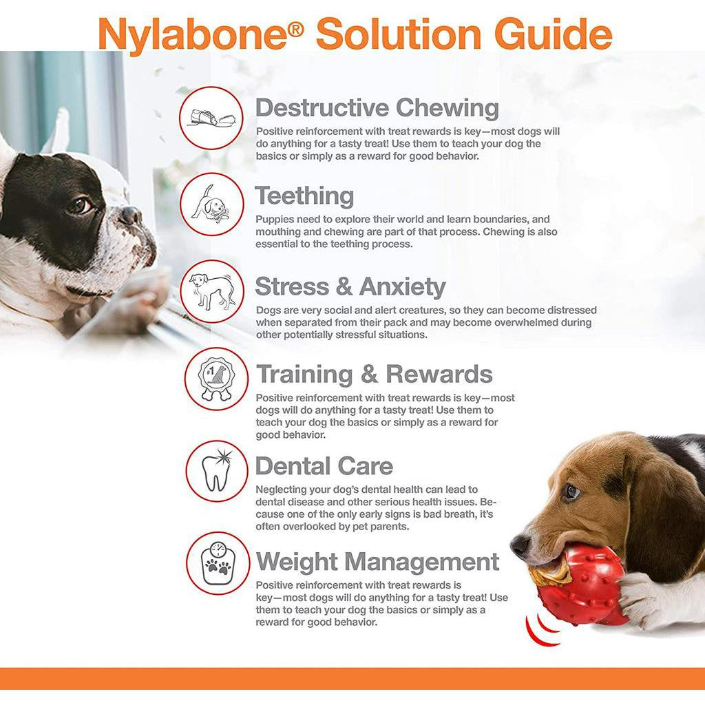 Nylabone Dura Chew Power Chew Textured Bone for Medium Dogs up to 35 lbs Medley Flavor (NCF303P)