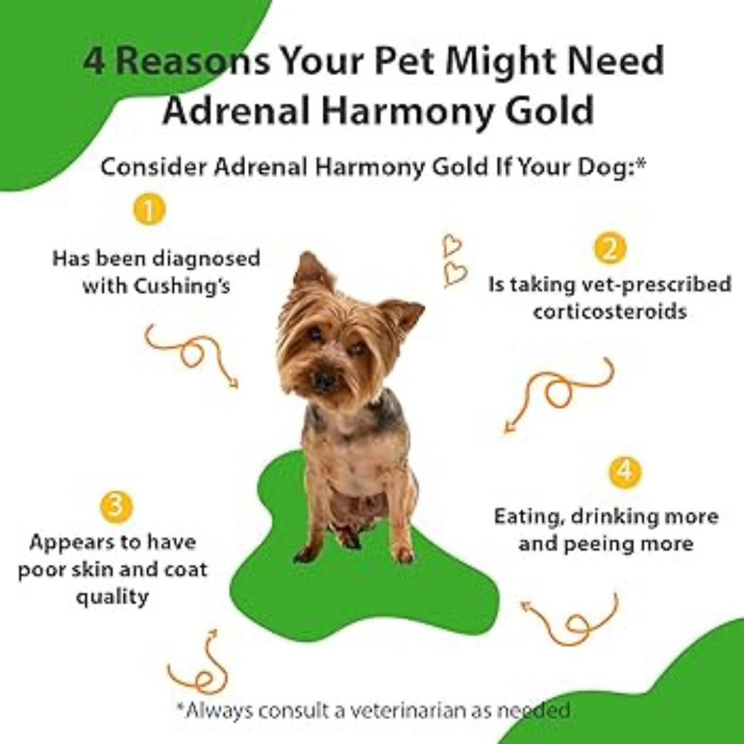 Pet Wellbeing Adrenal Harmony Gold Herbal for Dogs & Cats 59ml