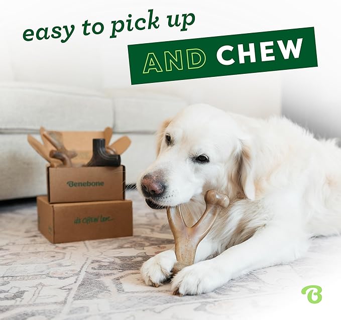 Benebone Dog Chew Toys 60lbs and Under Medium, 4 Count