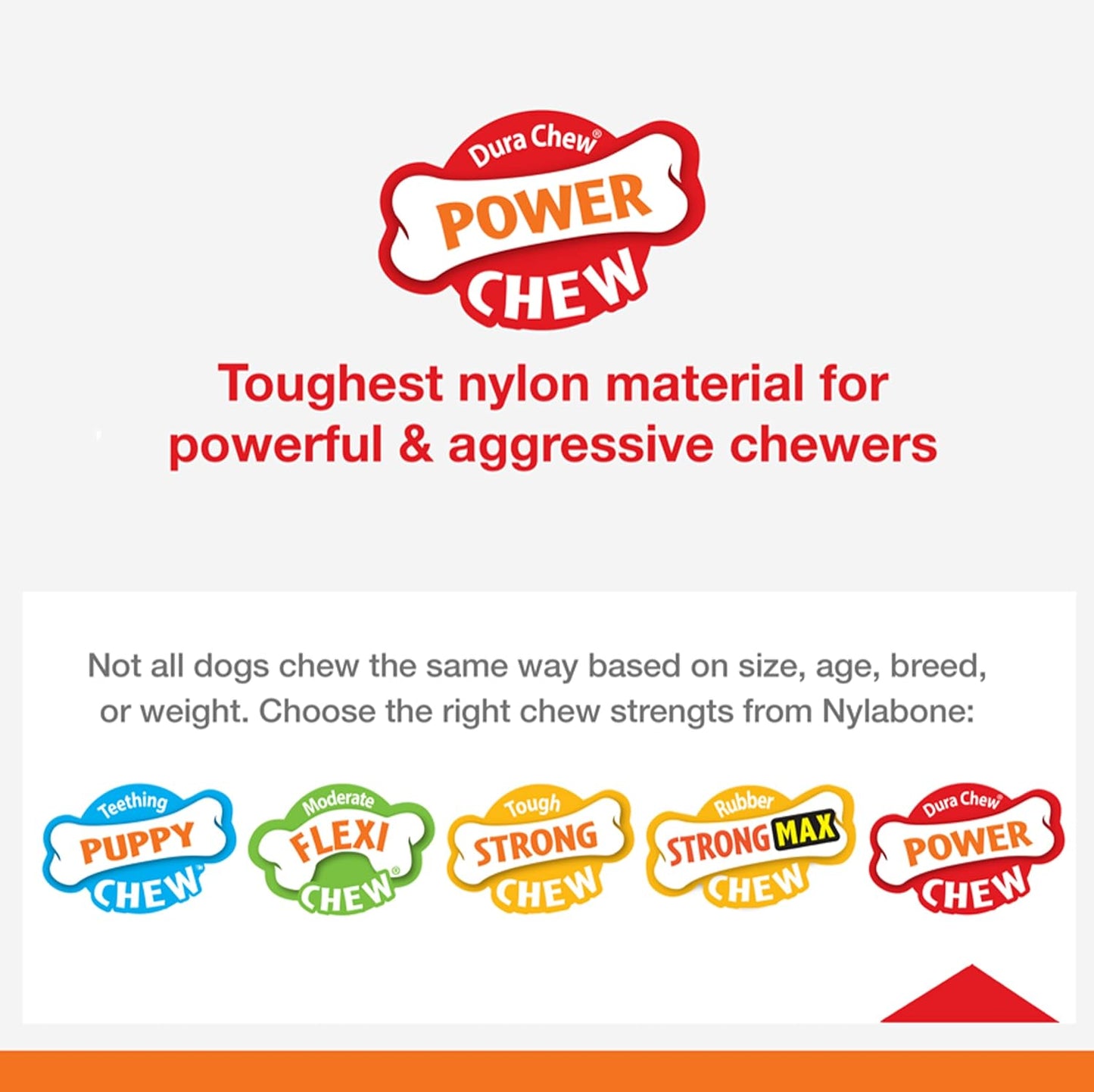 Nylabone Bone Chew Toy for Dogs, Bacon Cheeseburger & Apple Pie Flavor, Up To 25 Lbs ( Napoo2vpp )- 2 Pack