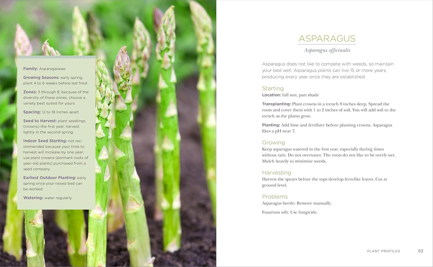 Tammy Wylie Raised-Bed Gardening for Beginners: Your Guide to Growing Sustainability and Self-Sufficiency