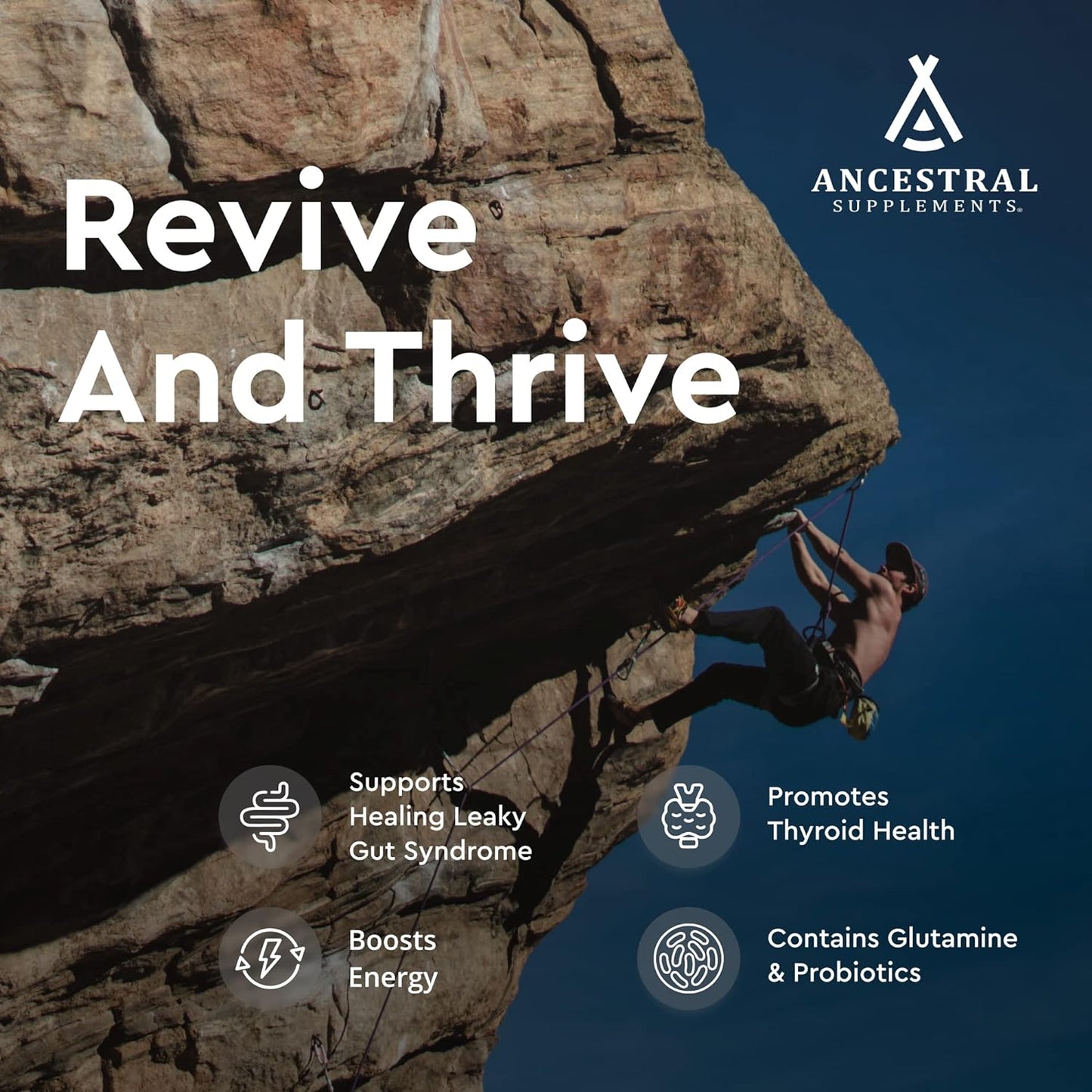 Ancestral Grassfed Intestines Supplement 500mg / 180 Capsules