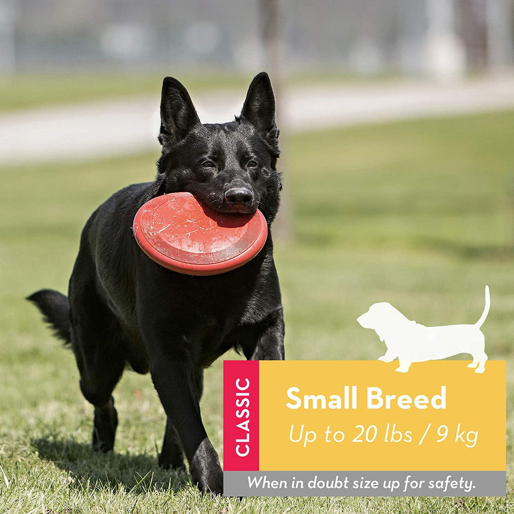 KONG Flyer, Durable Rubber Flying Disc Toy, For Small Dogs