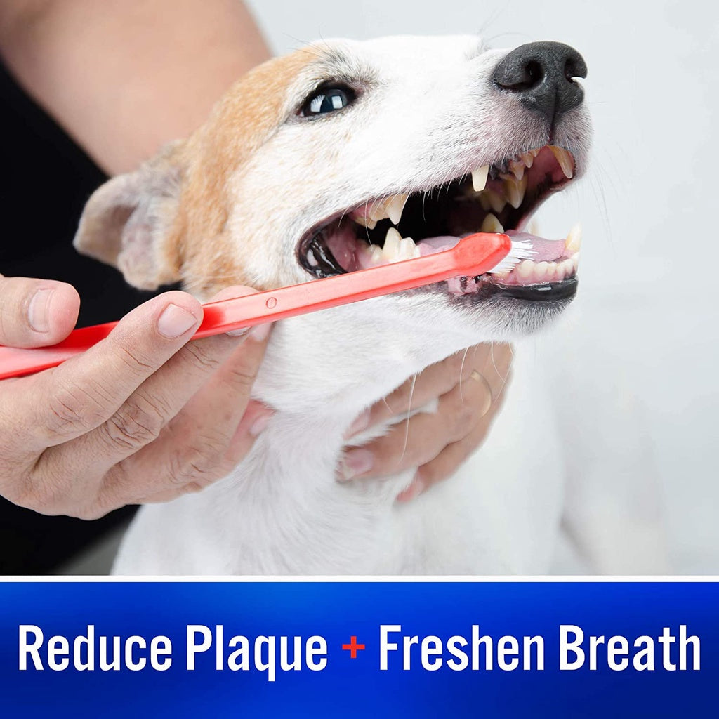 Virbac C.E.T Enzymatic Toothpaste for Dogs, Vanilla Mint Flavor, 2.5 oz. / 70g