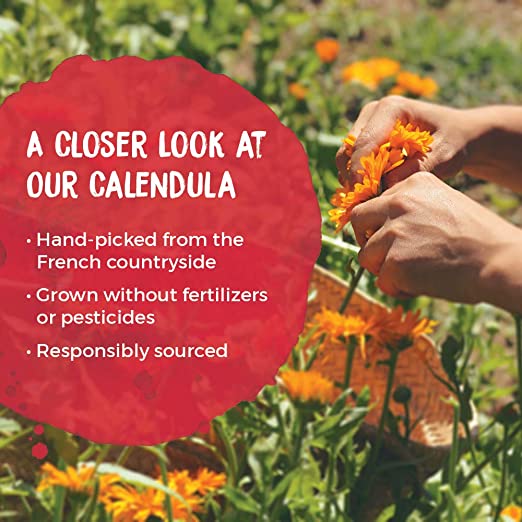 Boiron Calendula First Aid Cream, Soothes, Heals, Moisturize & Protects, (2.5 oz. / 70g) (PACKAGING MAY VARY)