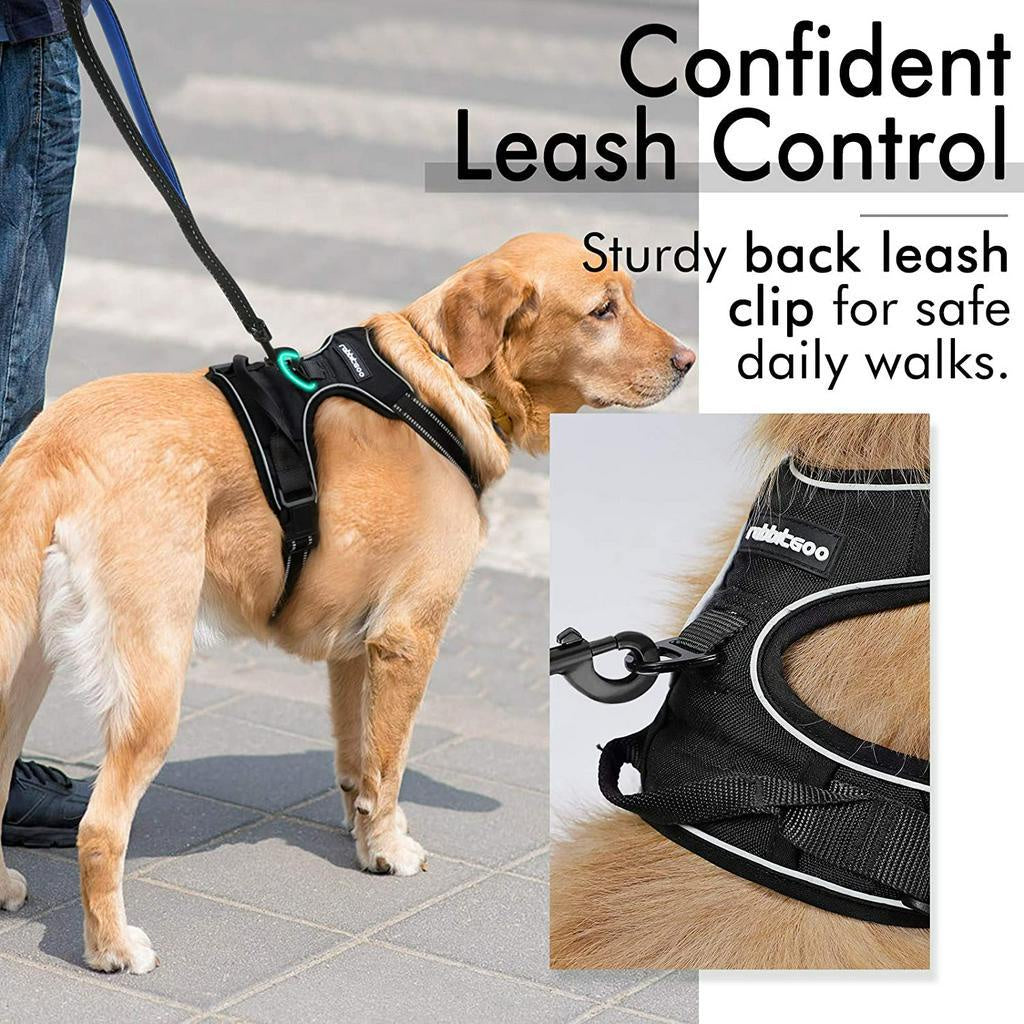 rabbitgoo Dog Harness with 2 Leash Clips, Adjustable Soft Padded Vest, Easy Control Handle, Black, S