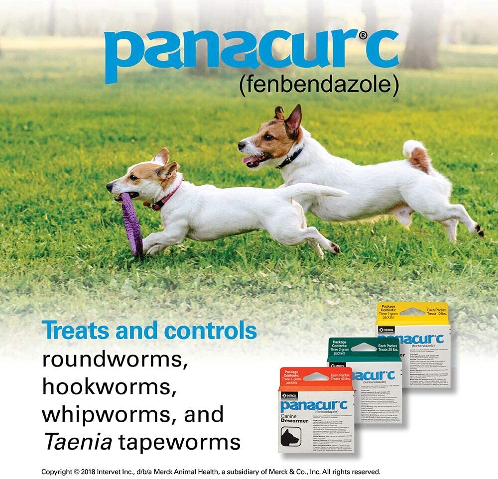 Panacur C Canine Dewormer for Dogs Only 40 lbs. 3 Packets