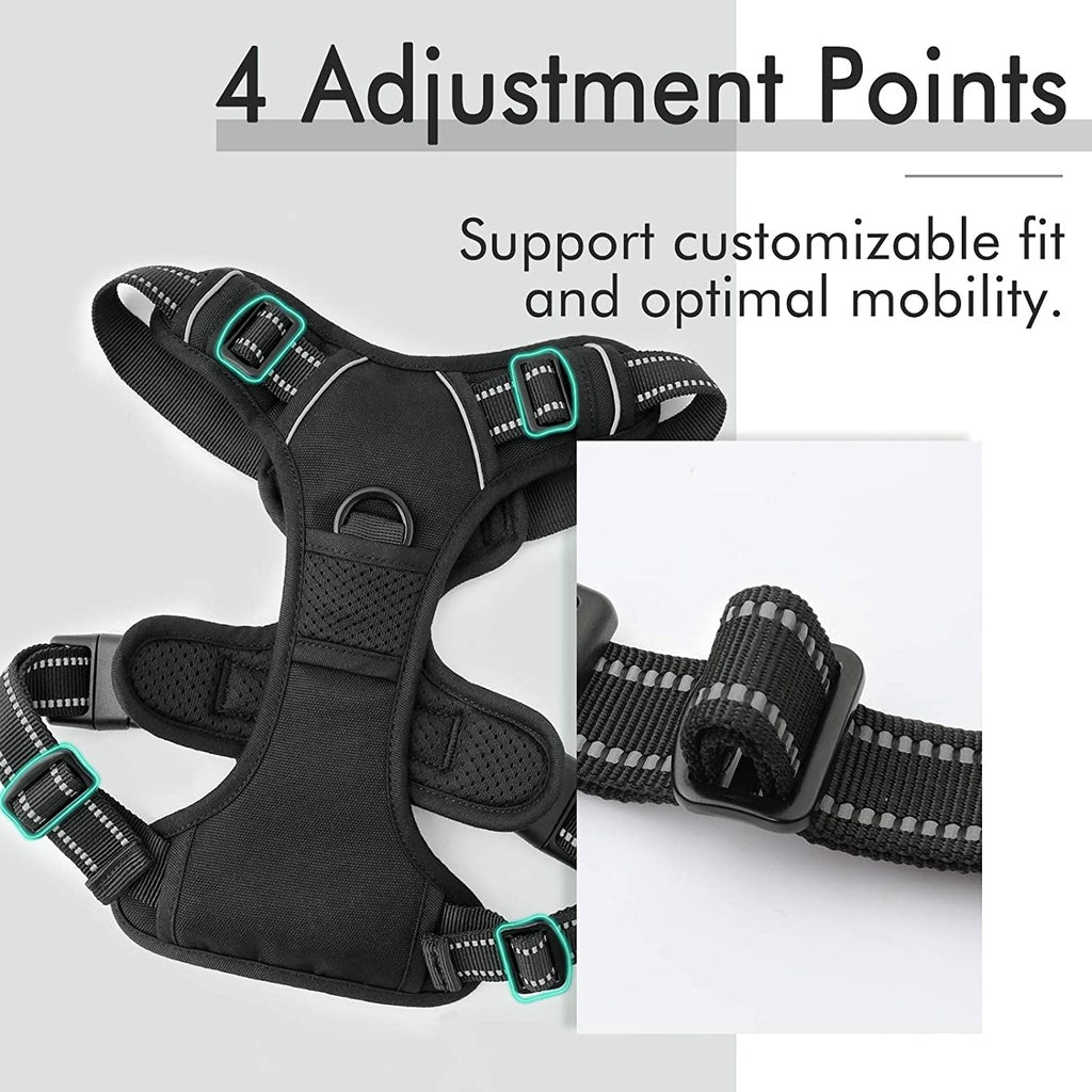 rabbitgoo Dog Harness with 2 Leash Clips, Adjustable Soft Padded Vest, Easy Control Handle, Black, S
